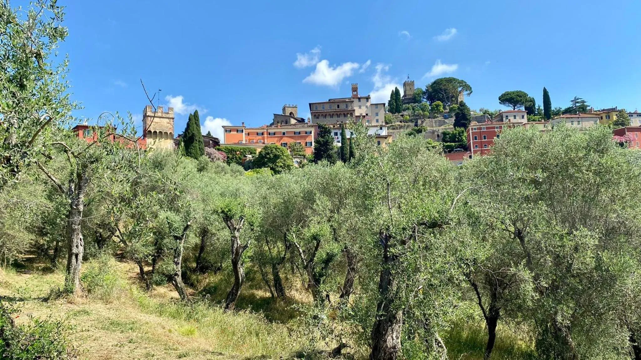 Property building in Hotel Villa Sermolli