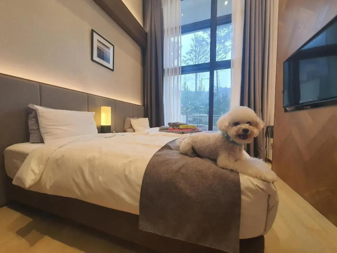Standard Twin Room - Pet Friendly/Non-Smoking in Pyeongchang Ramada Hotel & Suite by Wyndham Standard Twin Room - Pet Friendly/Non-Smoking in Pyeongchang Ramada Hotel & Suite by Wyndham