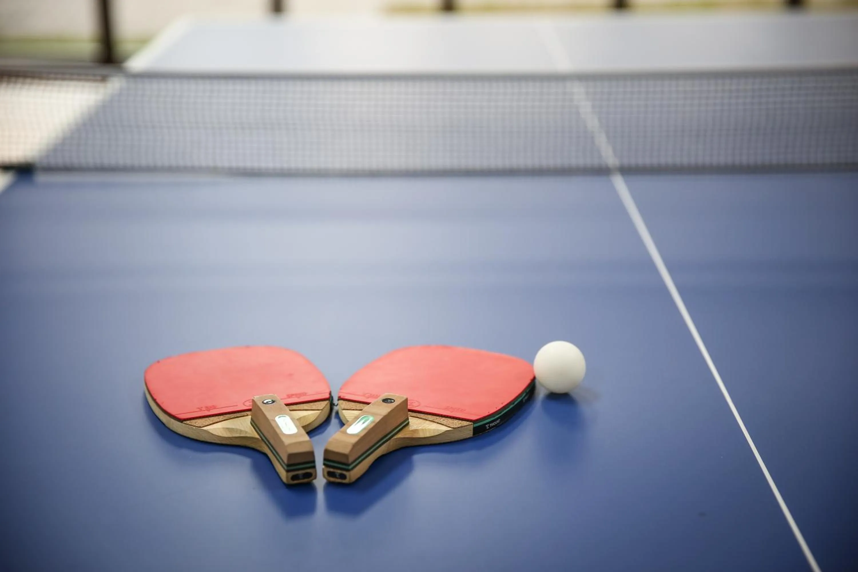 Activities in Ramada Hotel & Suite by Wyndham Gangwon Pyeongchang