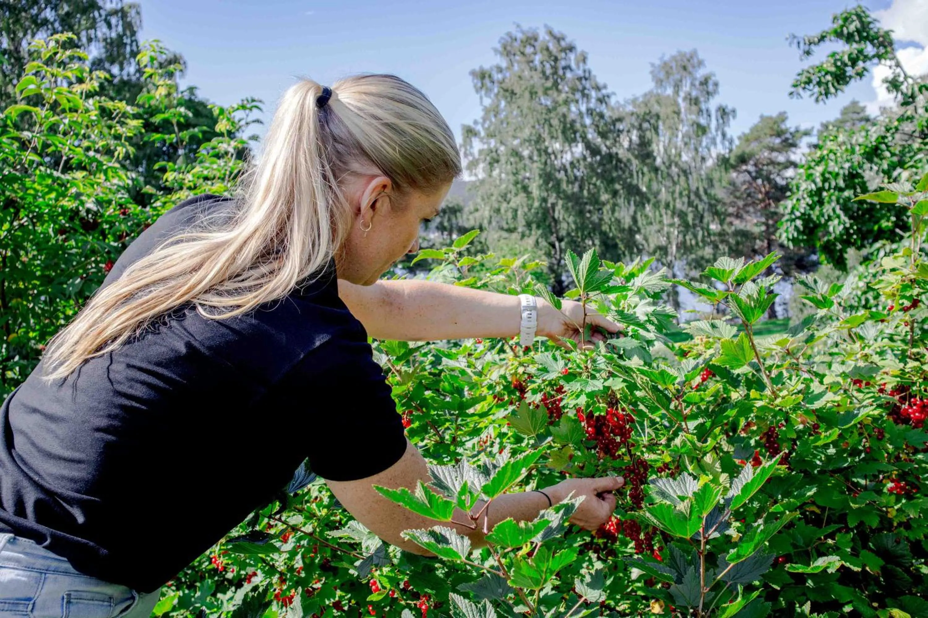 People in Thorbjørnrud Hotell