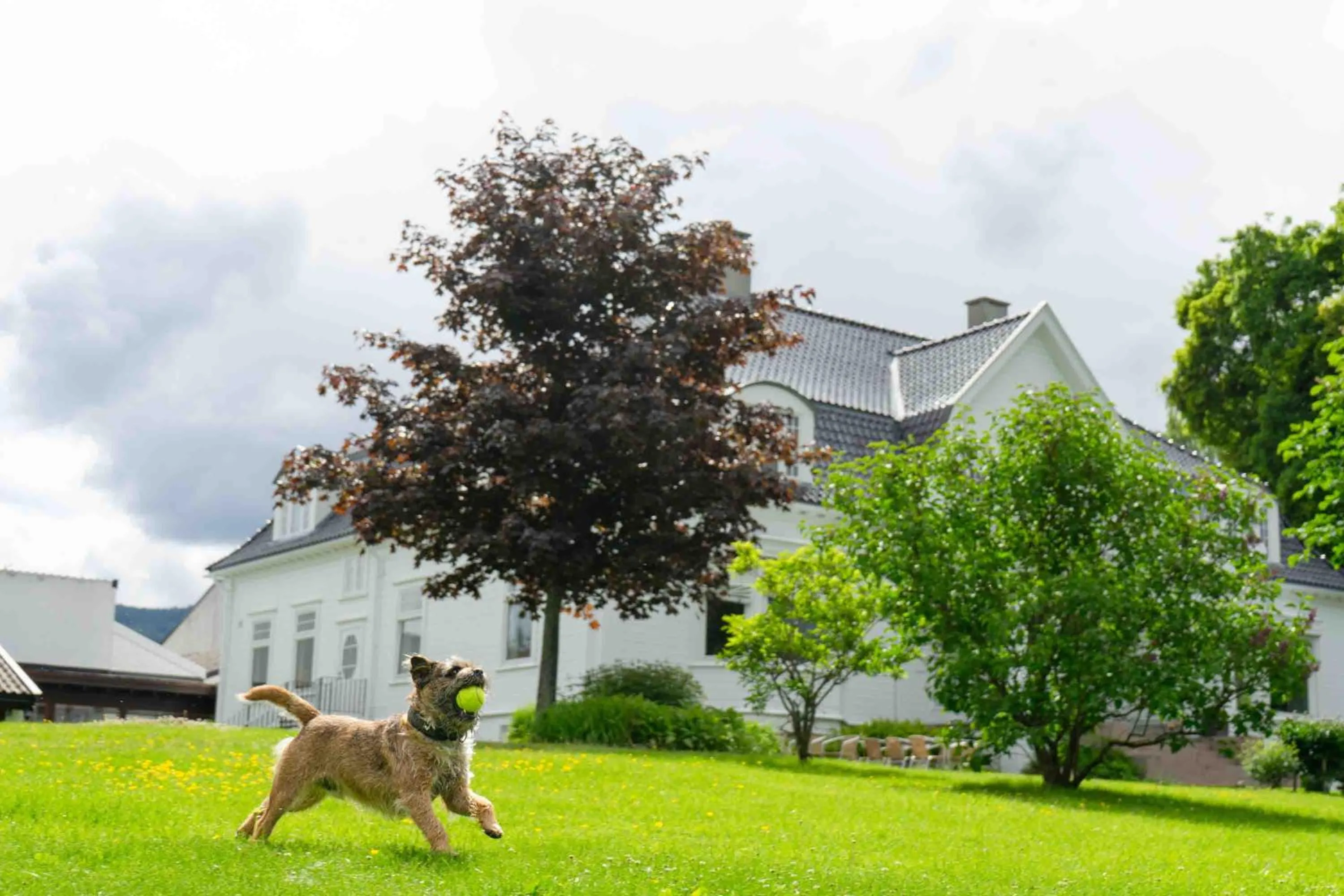Property building in Thorbjørnrud Hotell