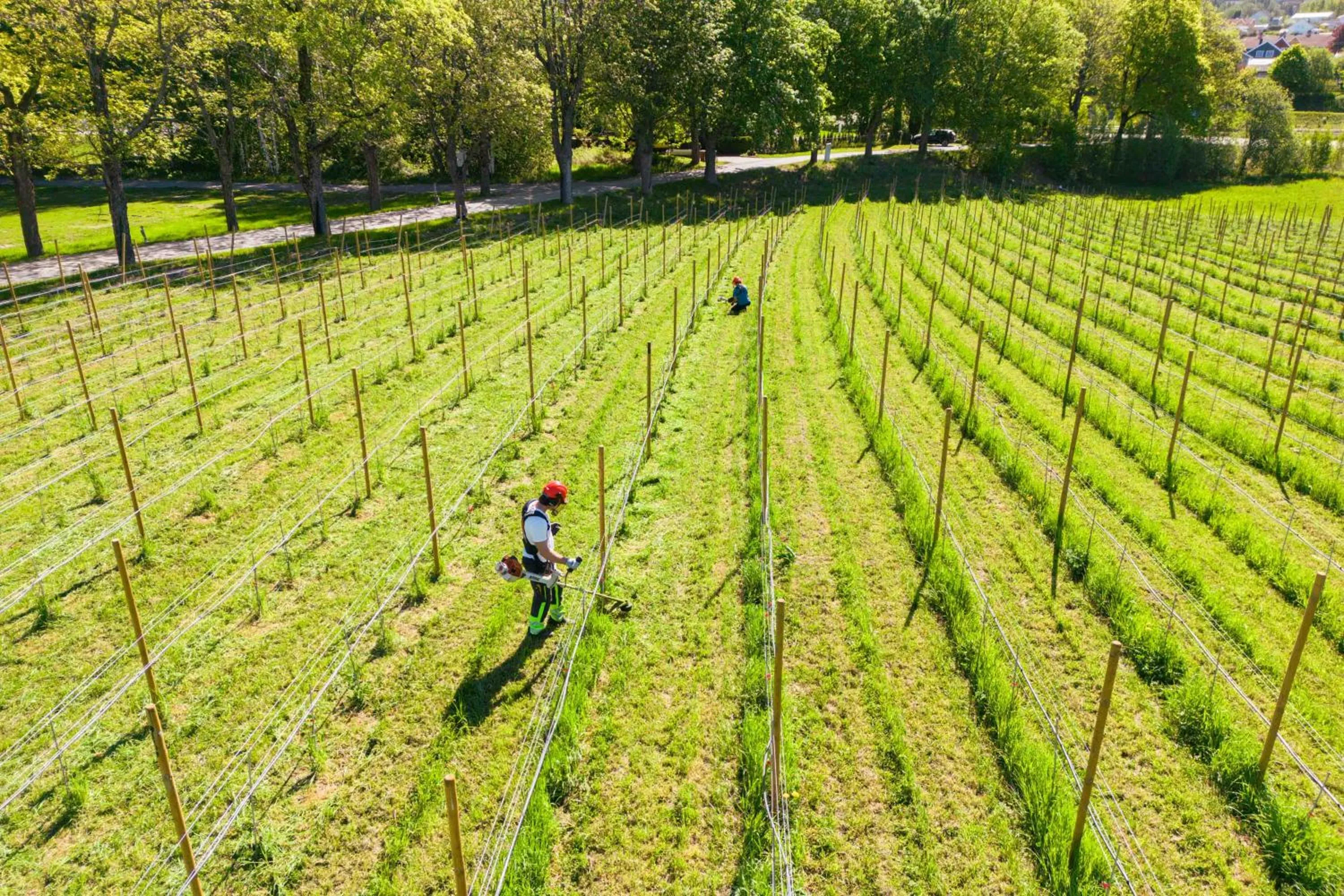 Staff in Thorbjørnrud Hotell