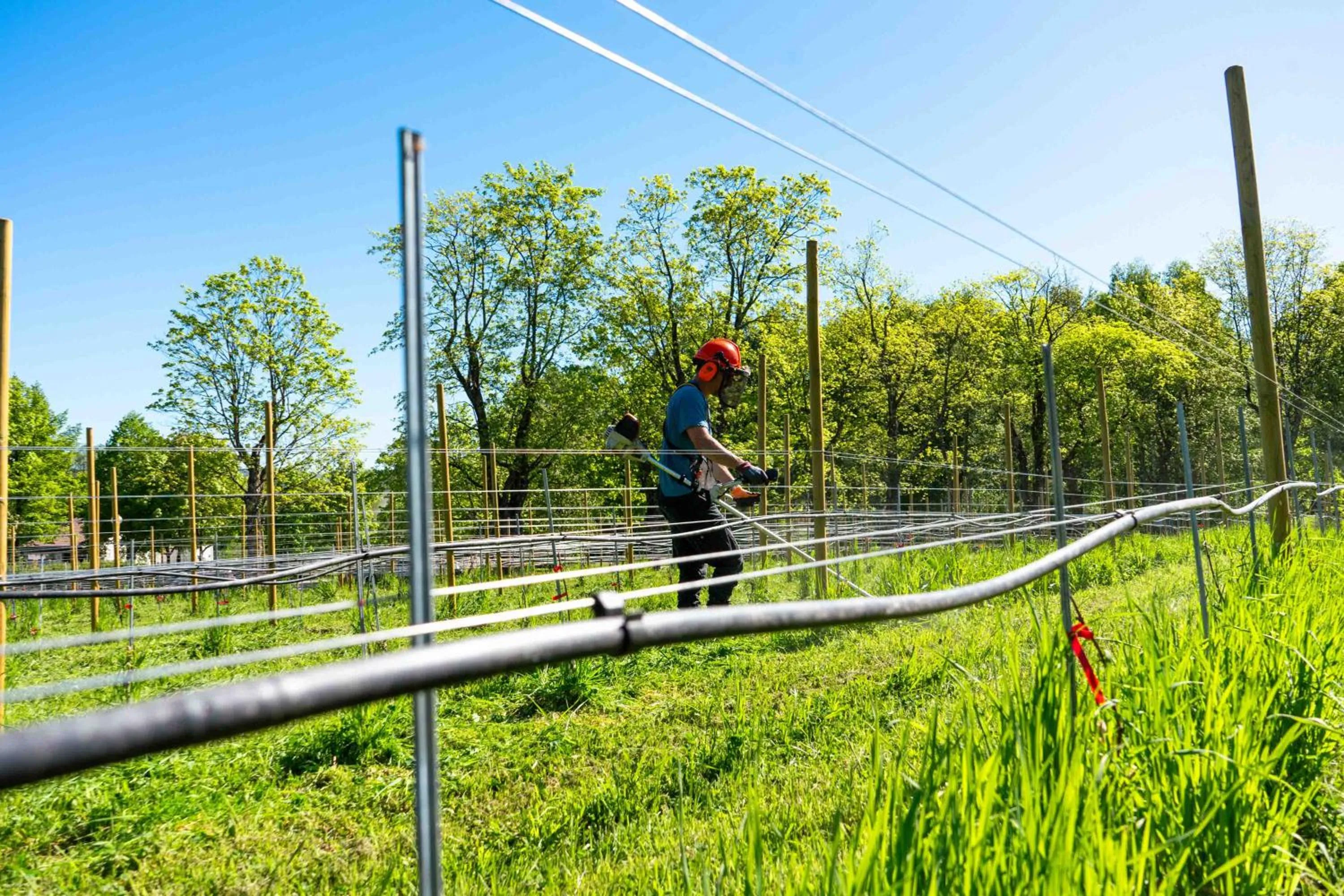 Staff in Thorbjørnrud Hotell