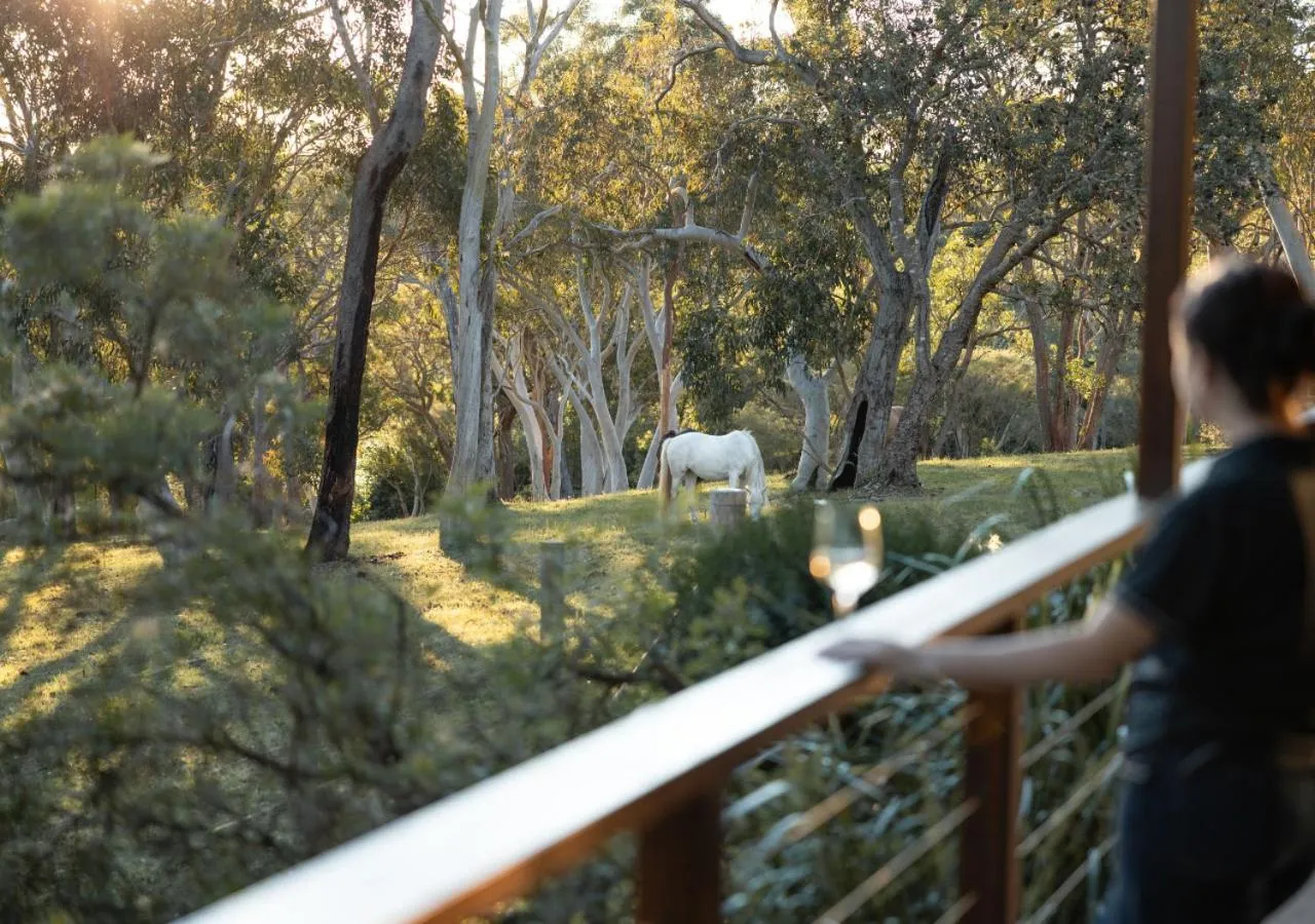 Horse-riding in Glenworth Valley Wilderness Adventures