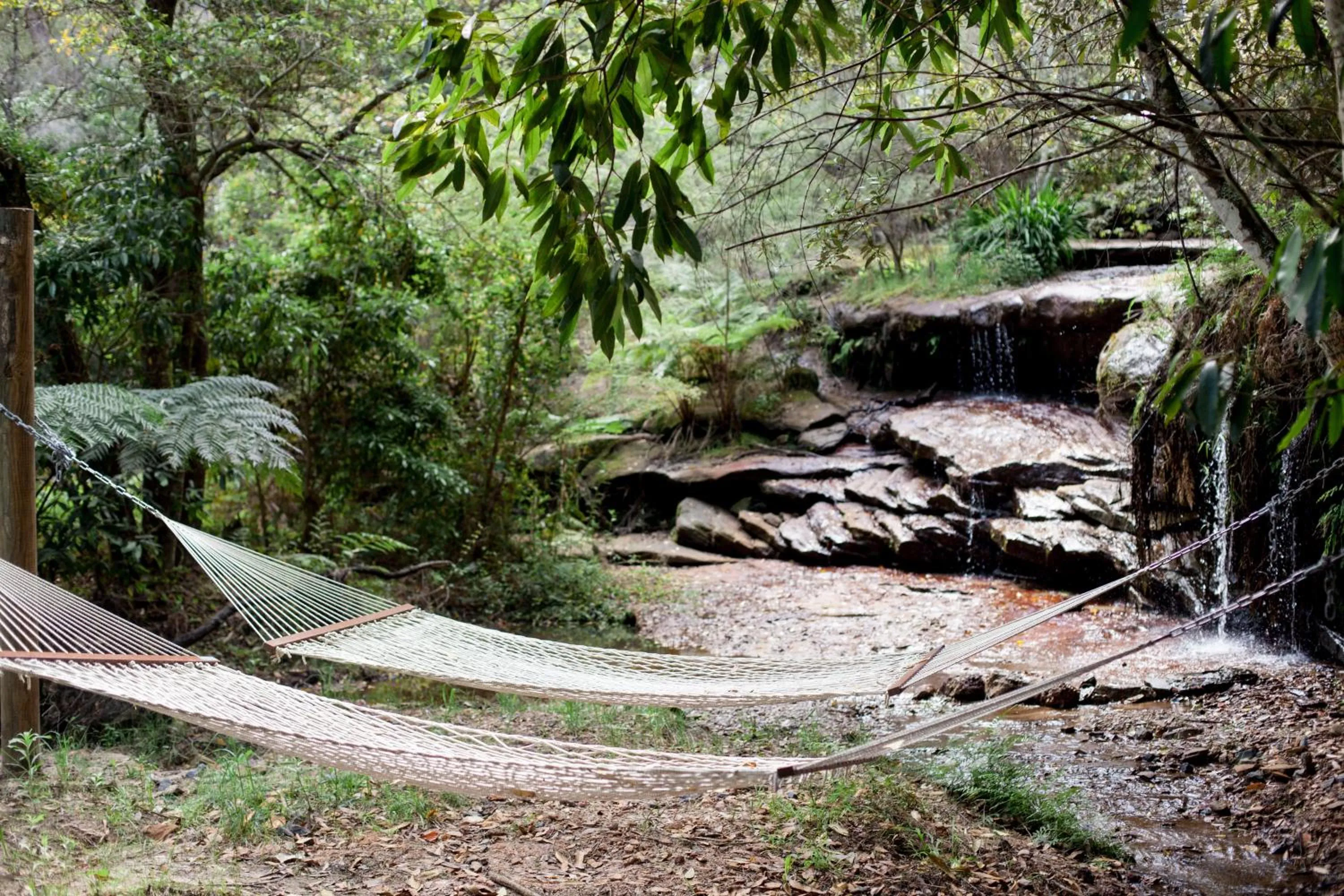 Glenworth Valley Wilderness Adventures