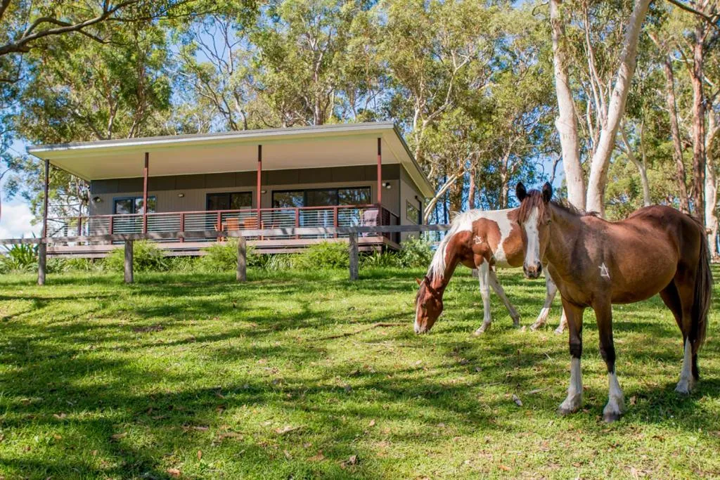 Property building in Glenworth Valley Wilderness Adventures