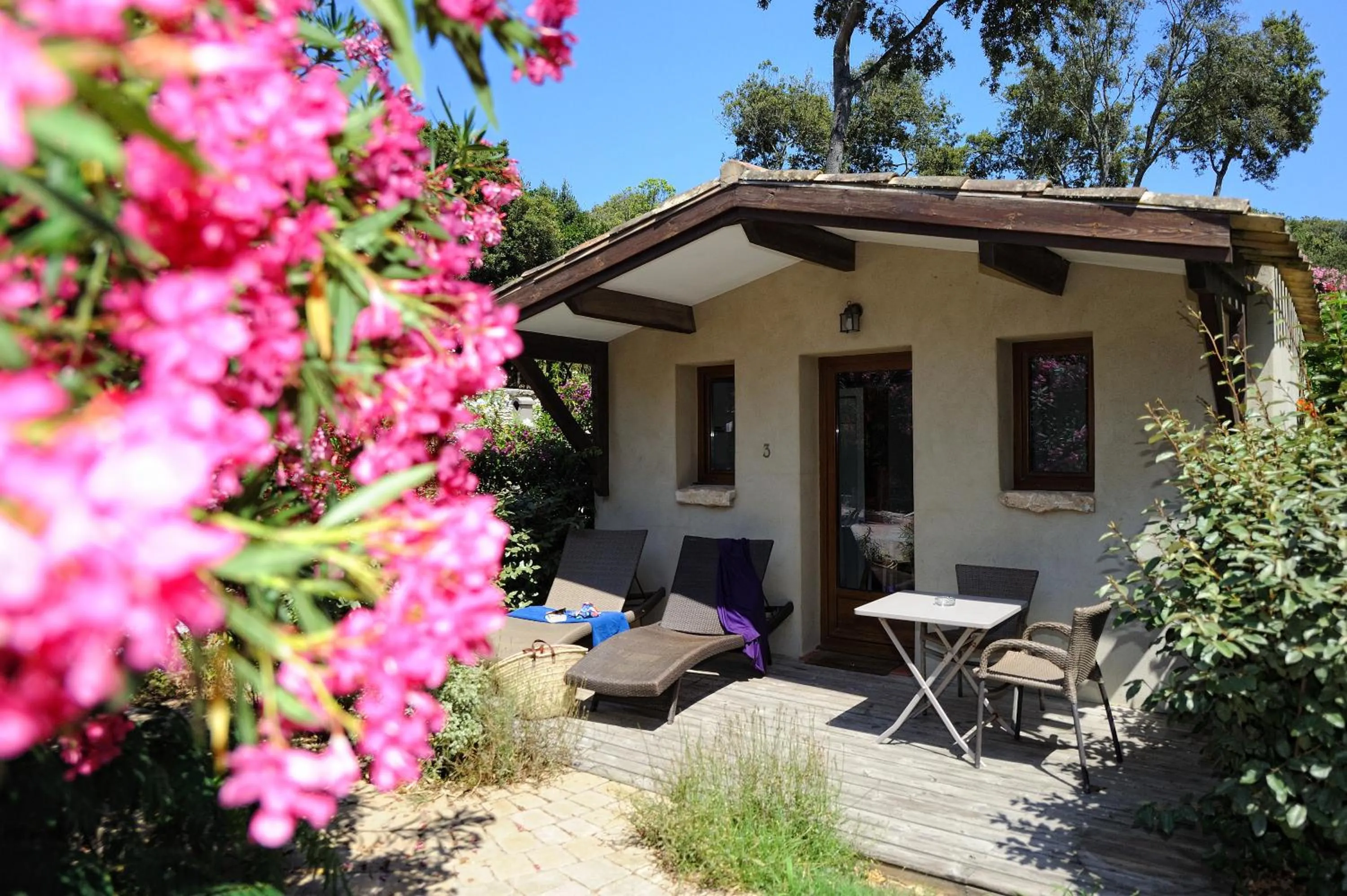 View (from property/room) in Résidence Sophia