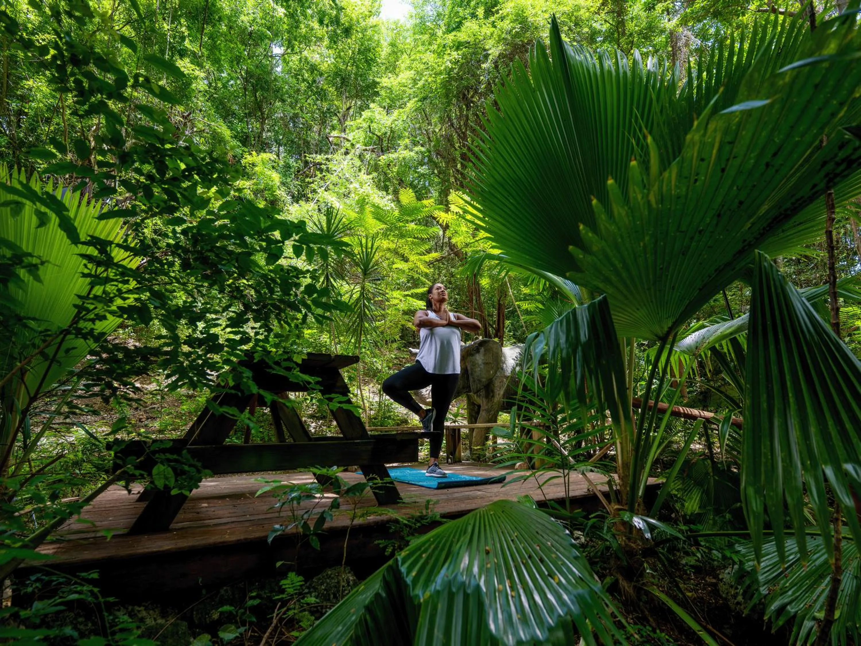 Activities in Sugar Cane Club Hotel & Spa