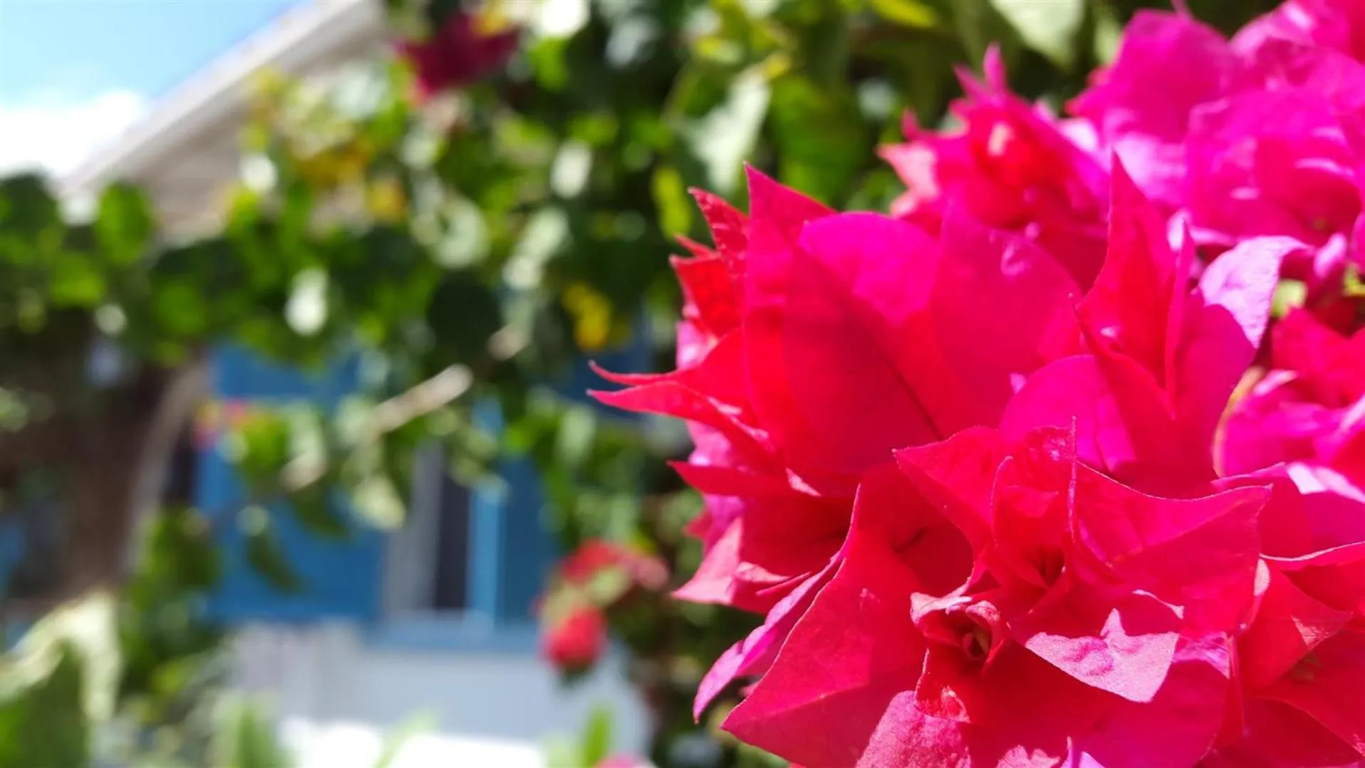 Decorative detail in Pousada Casa Búzios