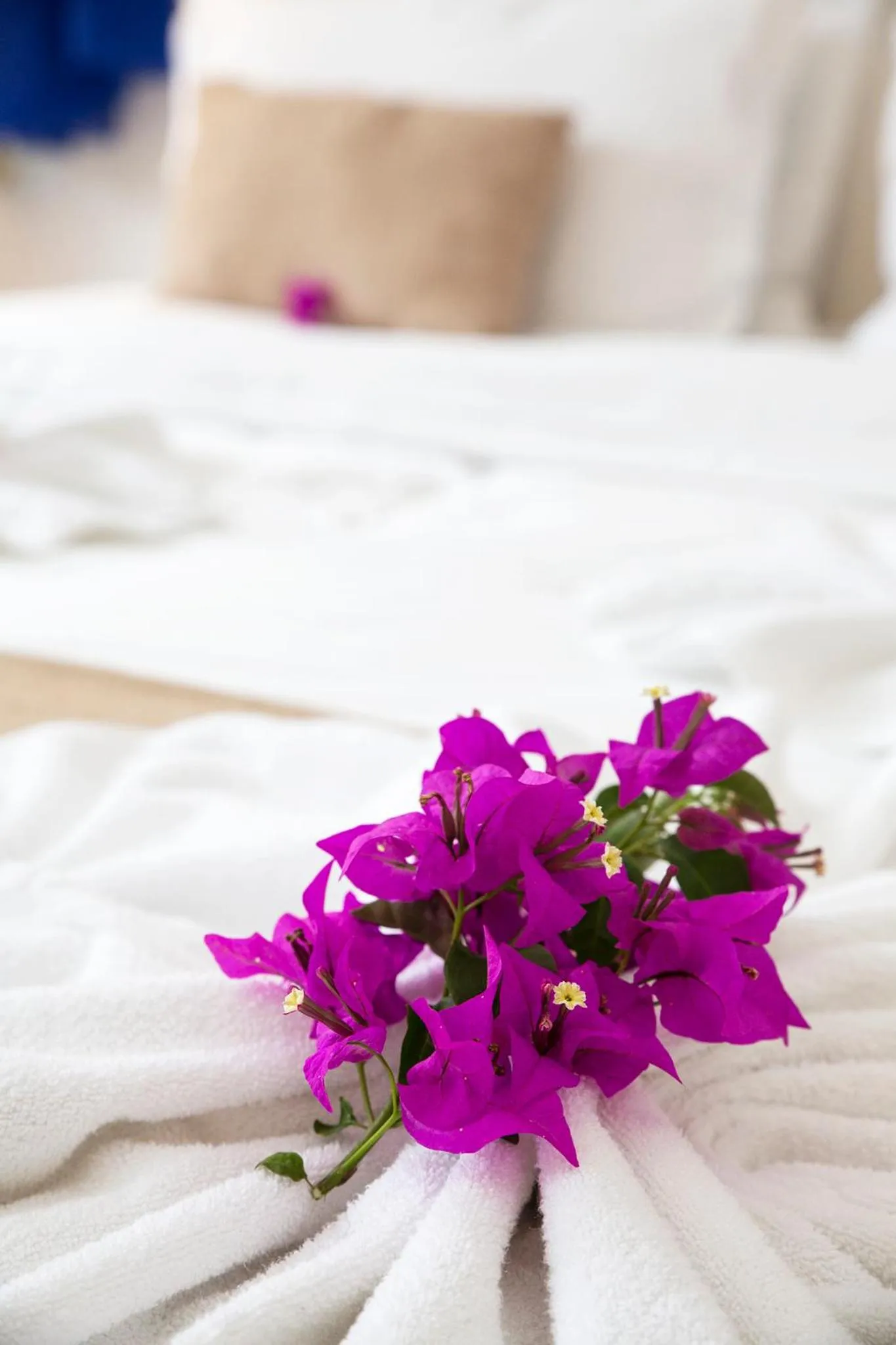 Decorative detail, Bed in Pousada Casa Búzios