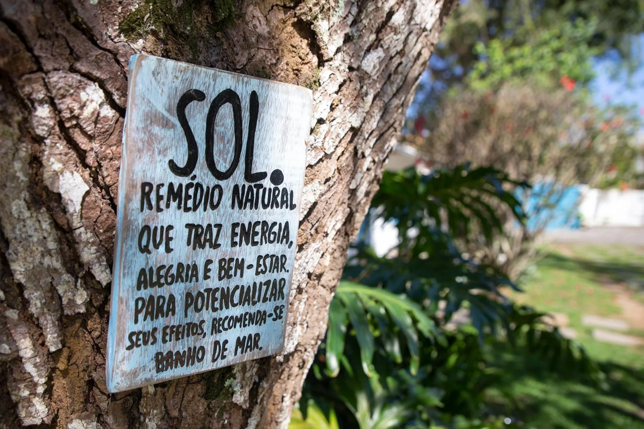Garden in Pousada Casa Búzios