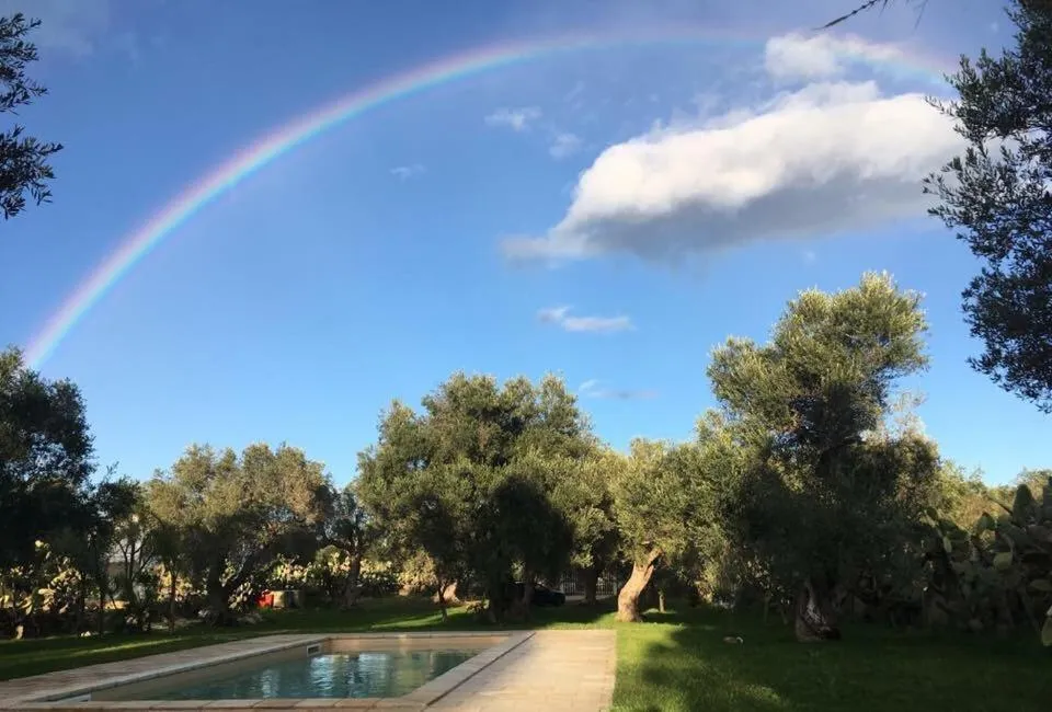 Swimming pool in B&B Medali