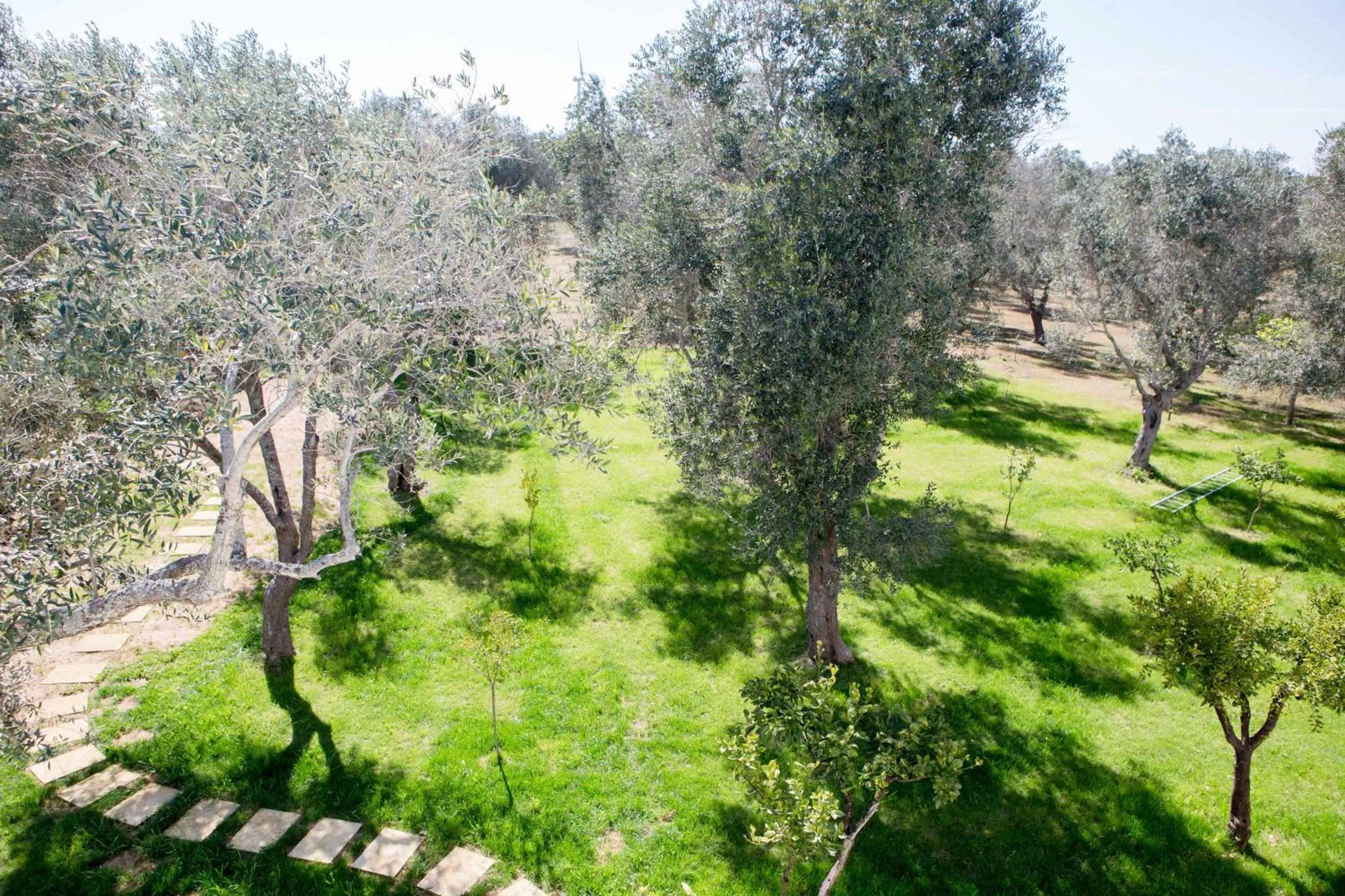 Garden in B&B Medali