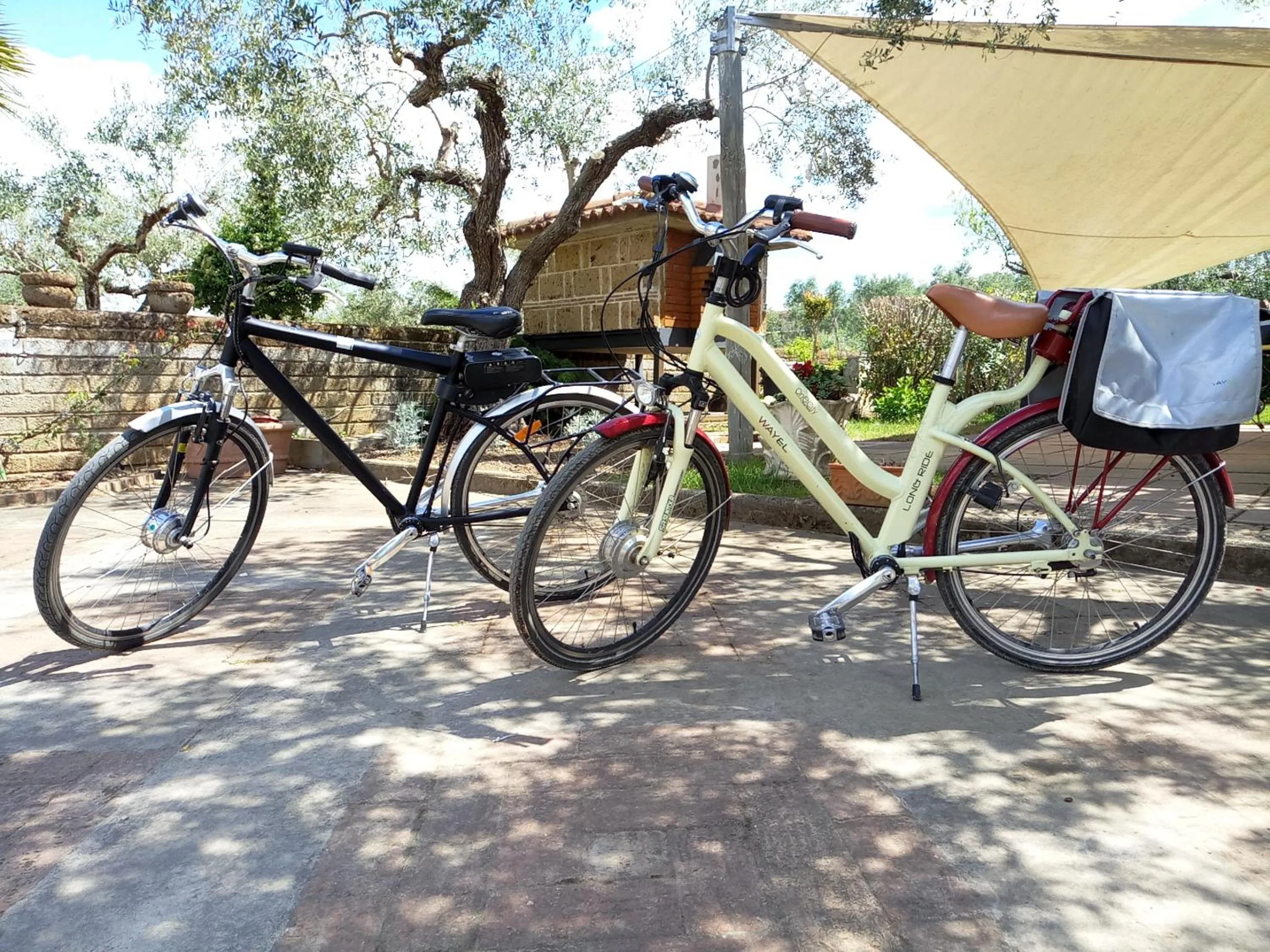 Garden in Villa Rosa Lifestyle B&B