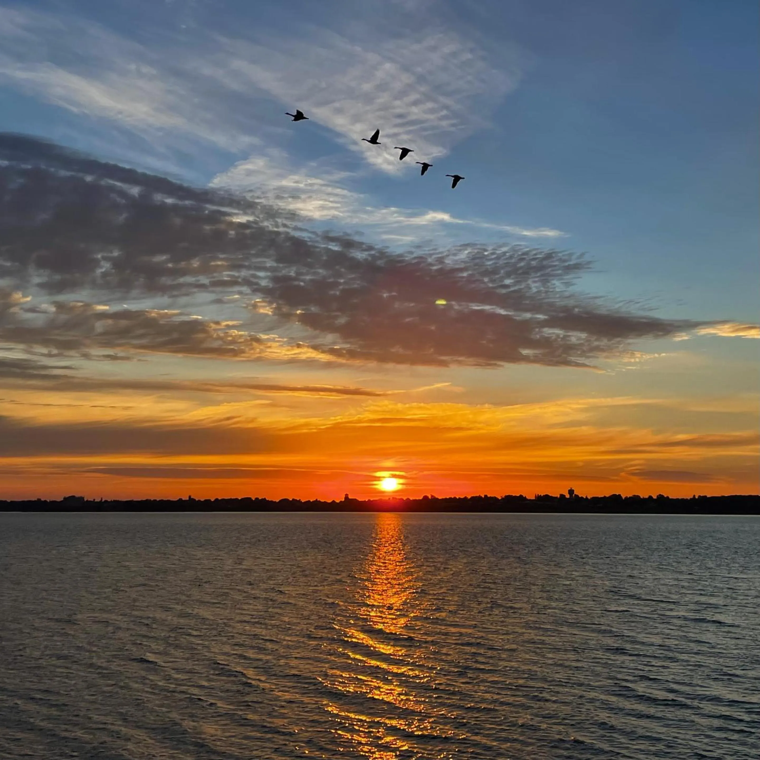Beach in Dewar's Inn and Cottages