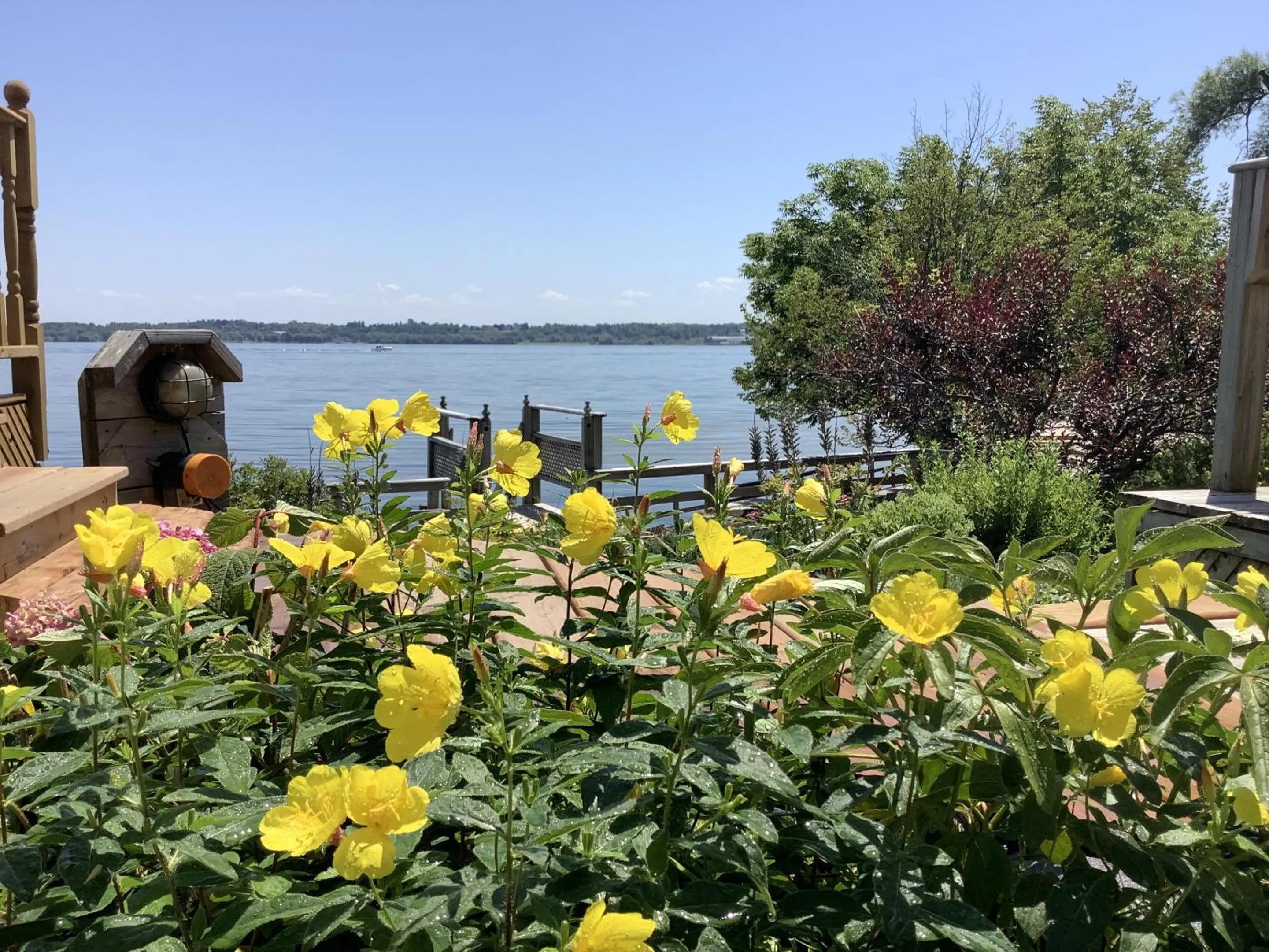 Garden in Dewar's Inn and Cottages