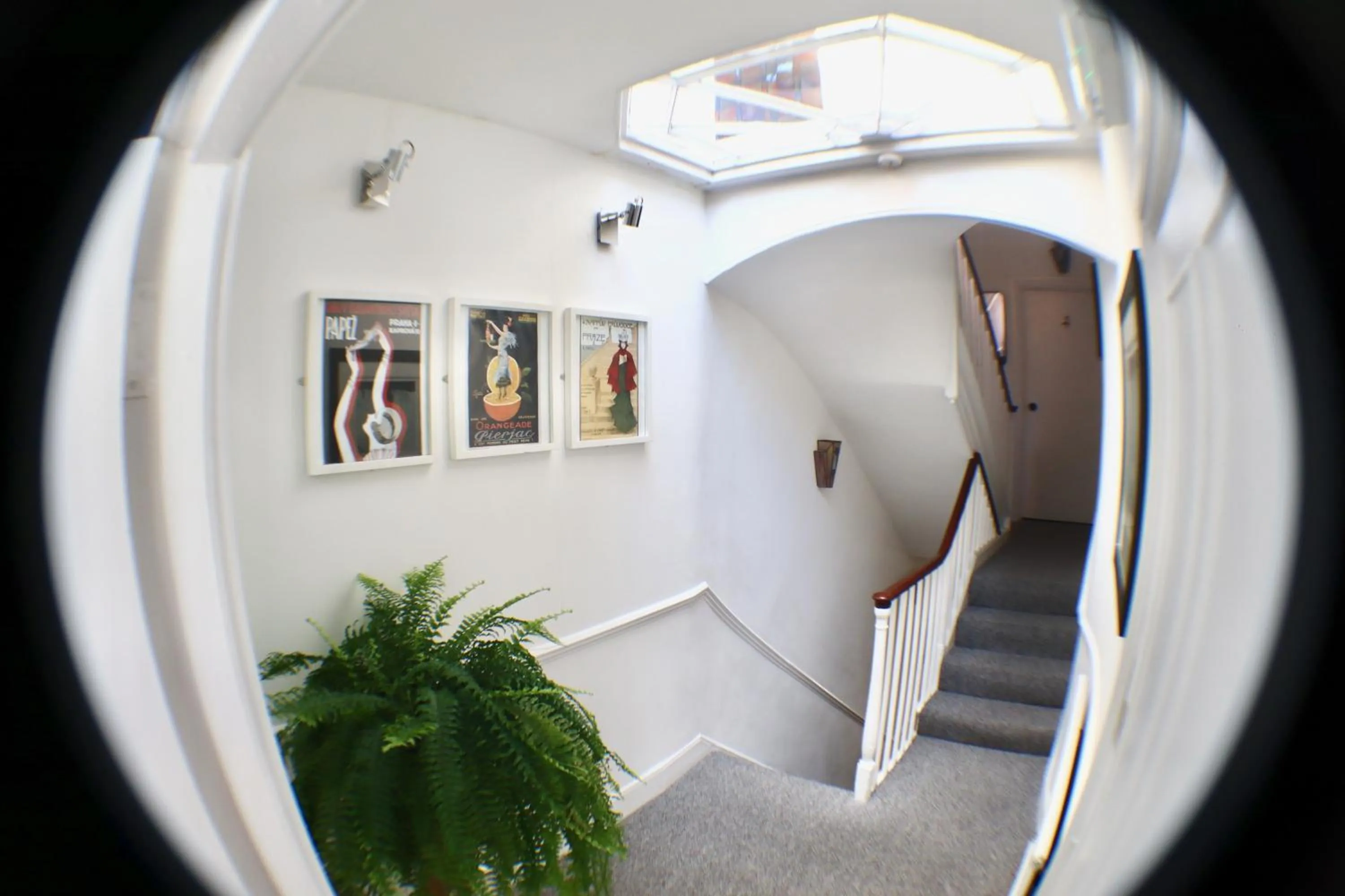 Property building in Colson House