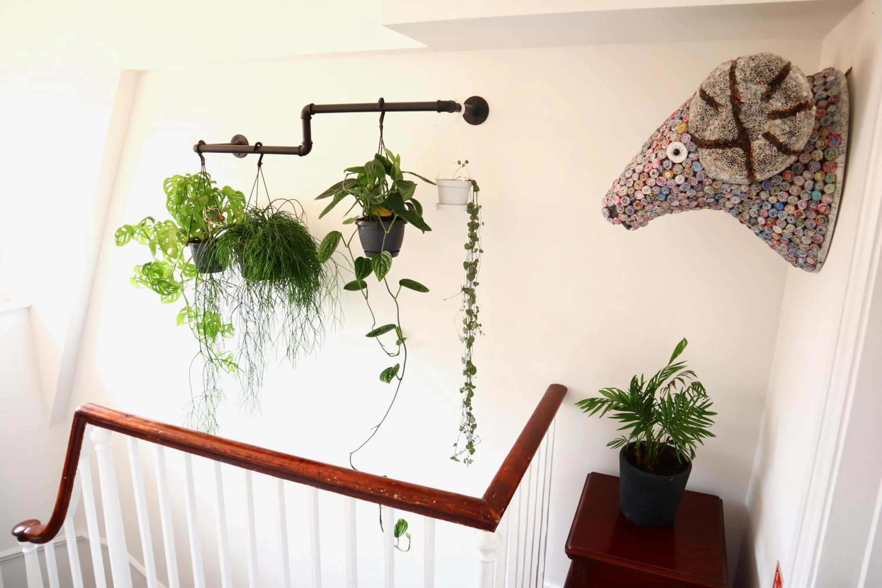 Decorative detail in Colson House