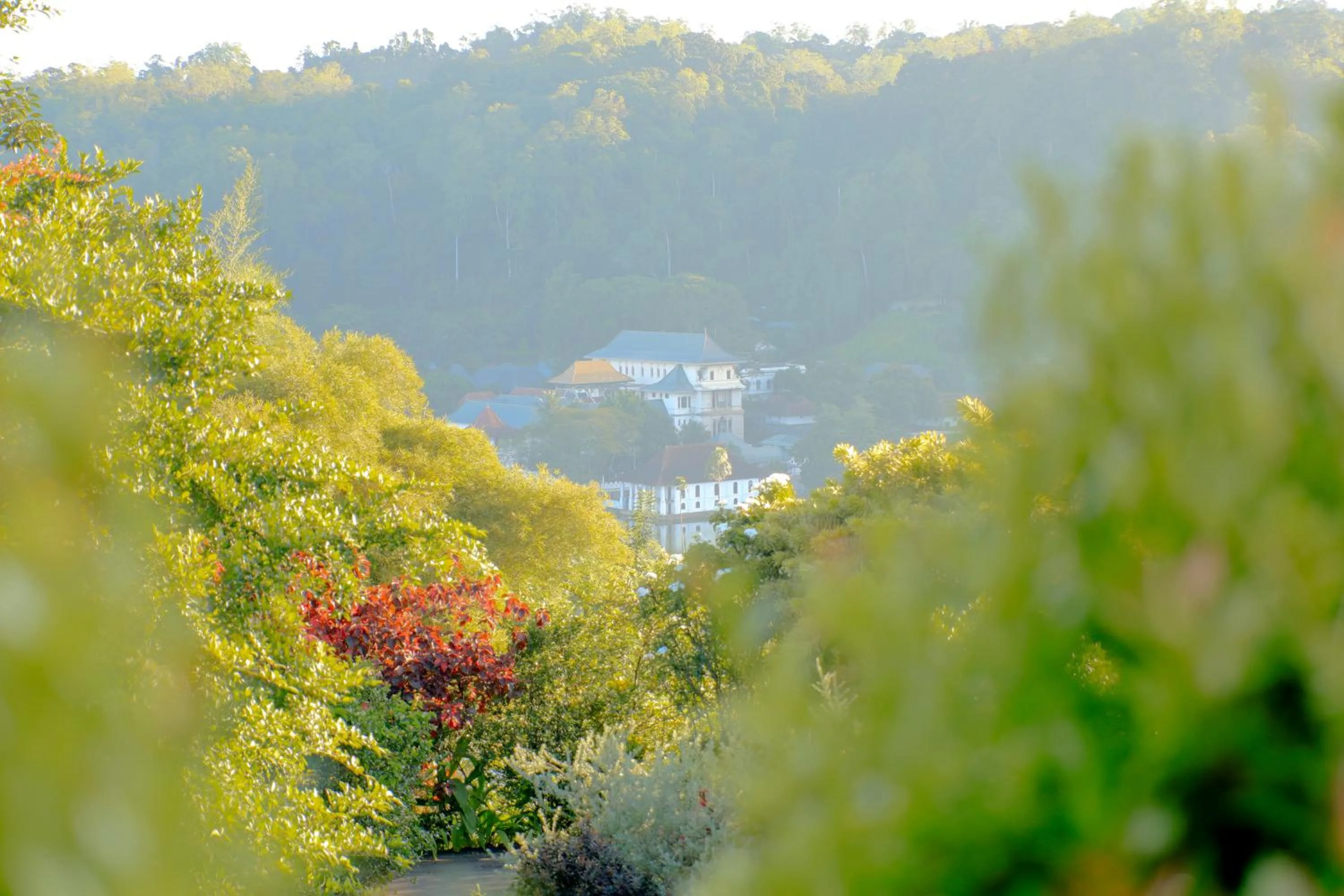 Natural landscape in Castle Hill Bungalow by Seven Angels