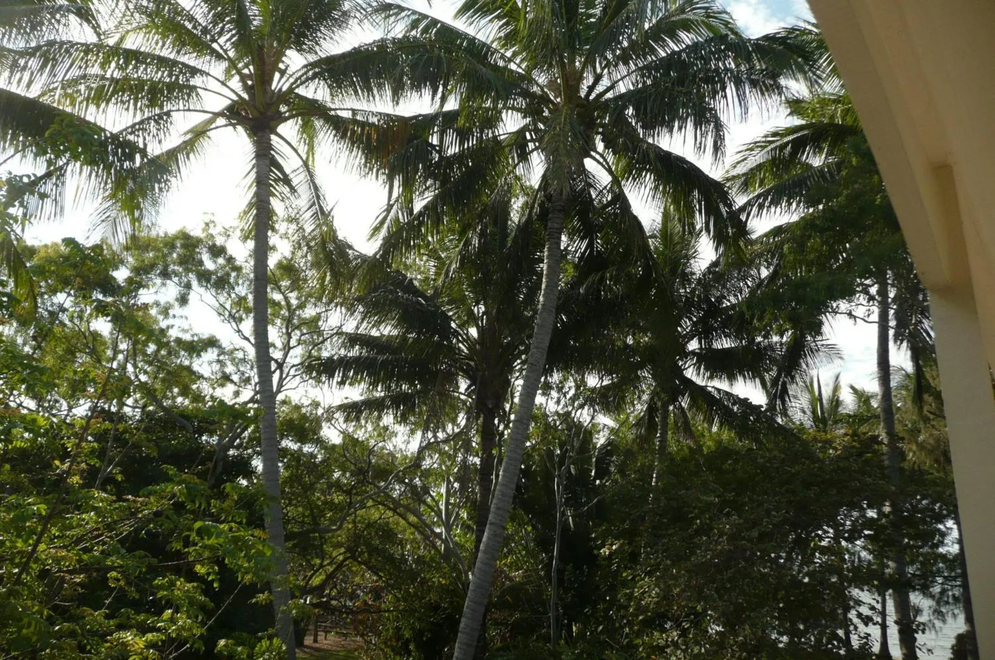 Day in Beachside Holiday Units