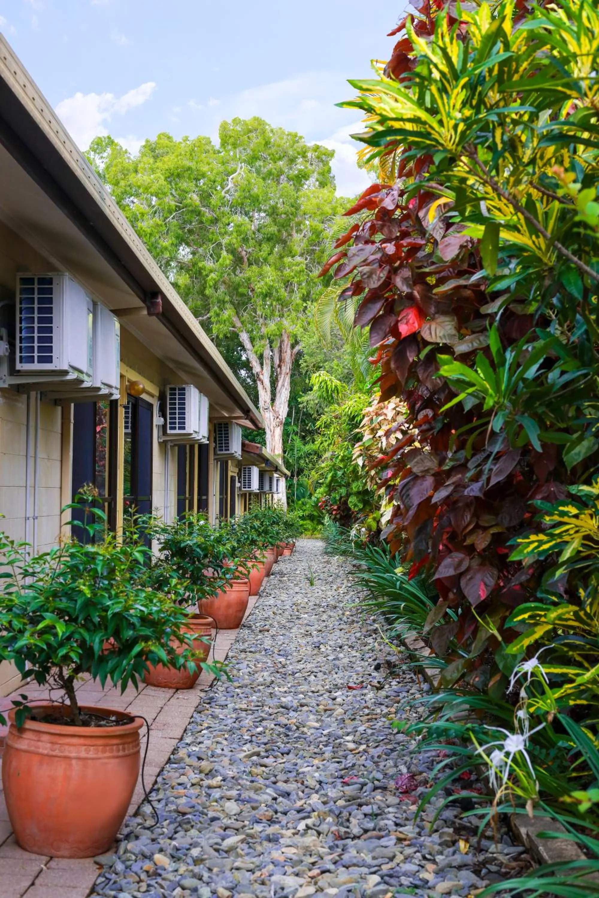 Garden in Birch Resort Port Douglas
