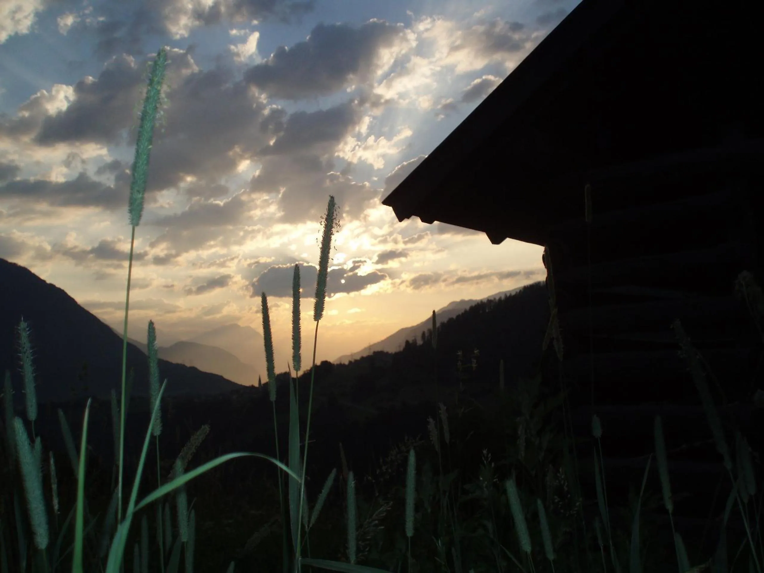 Summer in Hotel Wiese