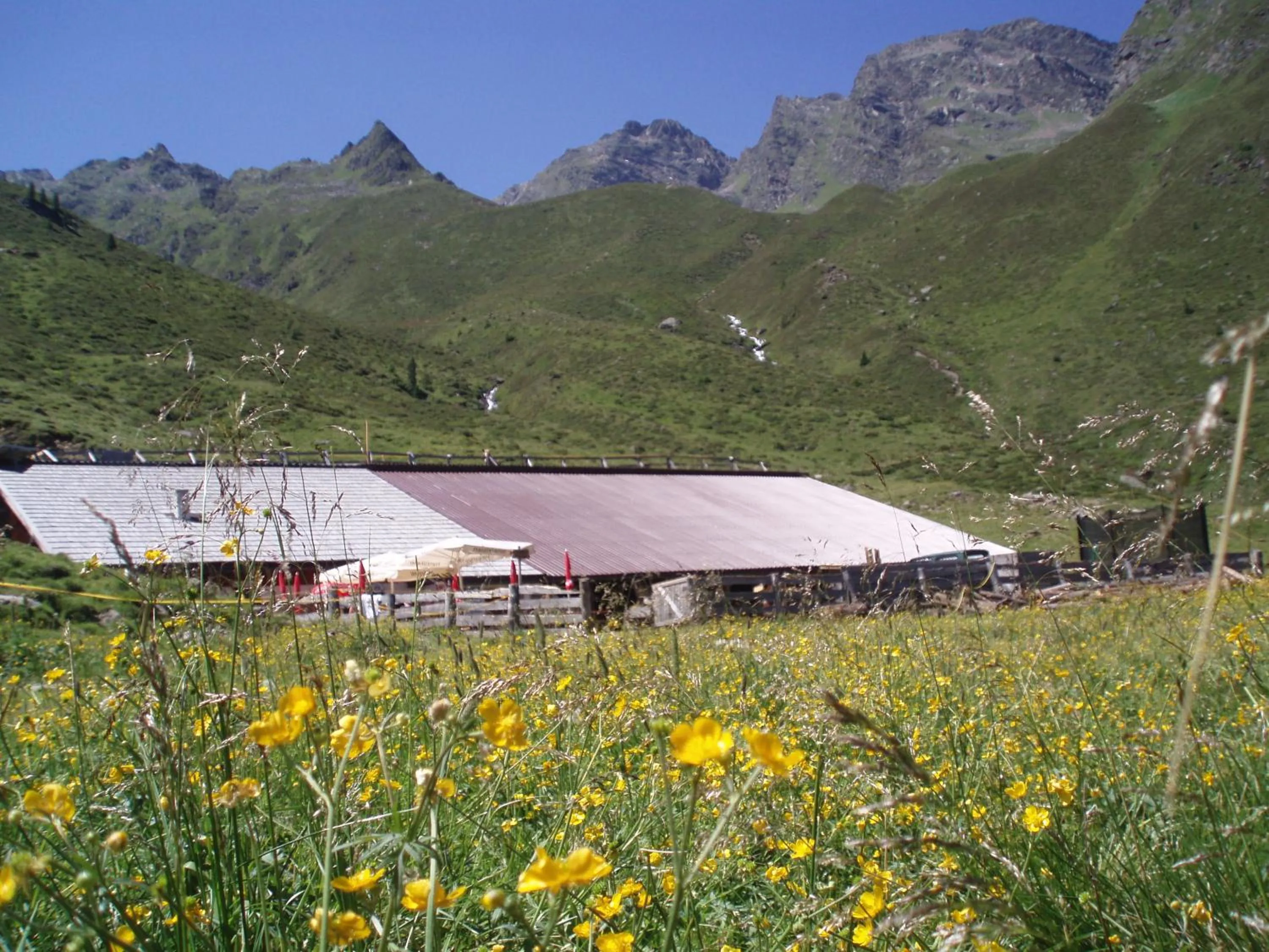 Hiking in Hotel Wiese
