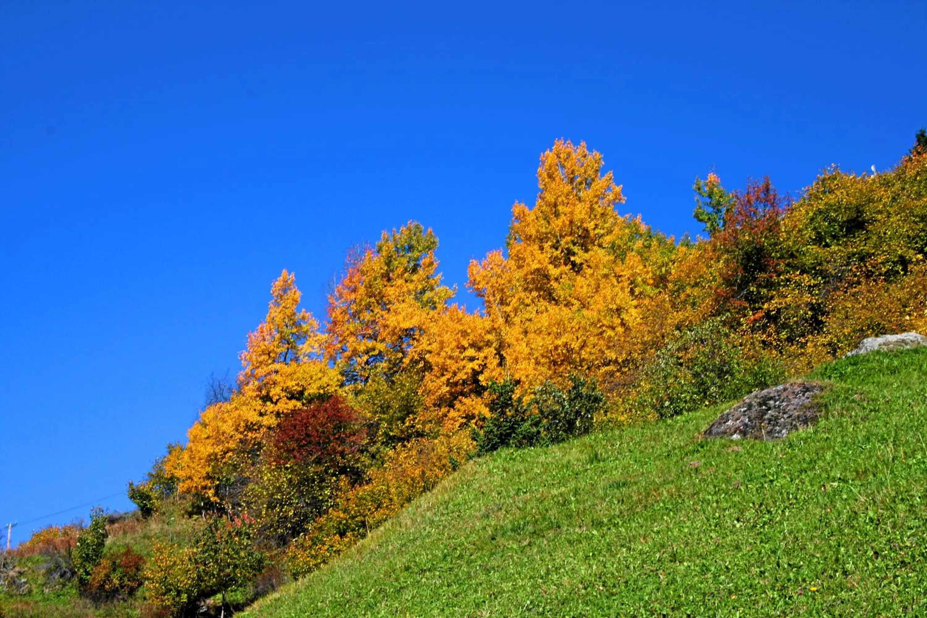 Natural landscape in Hotel Wiese