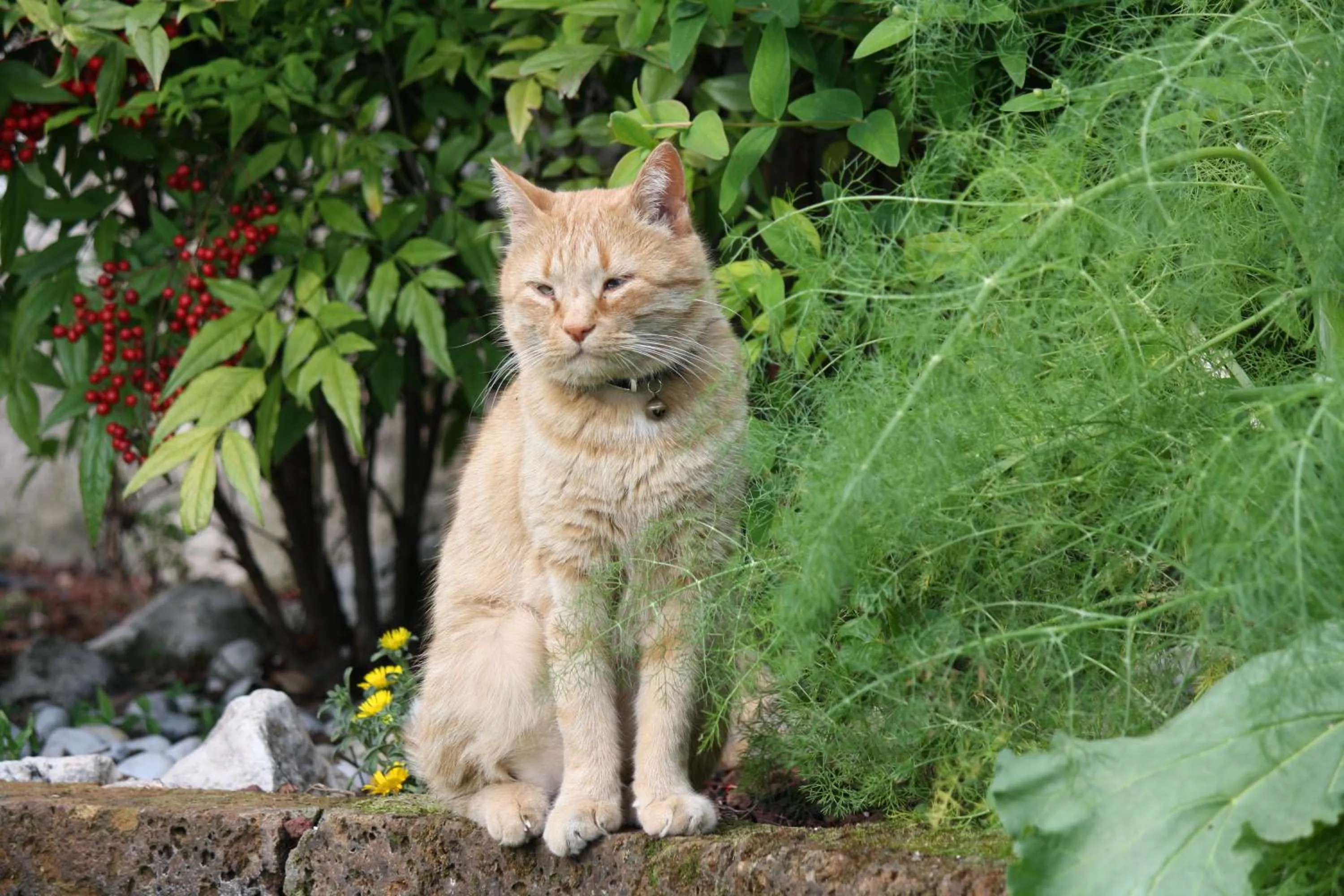 Property building in B&B POGGIO CAIAR