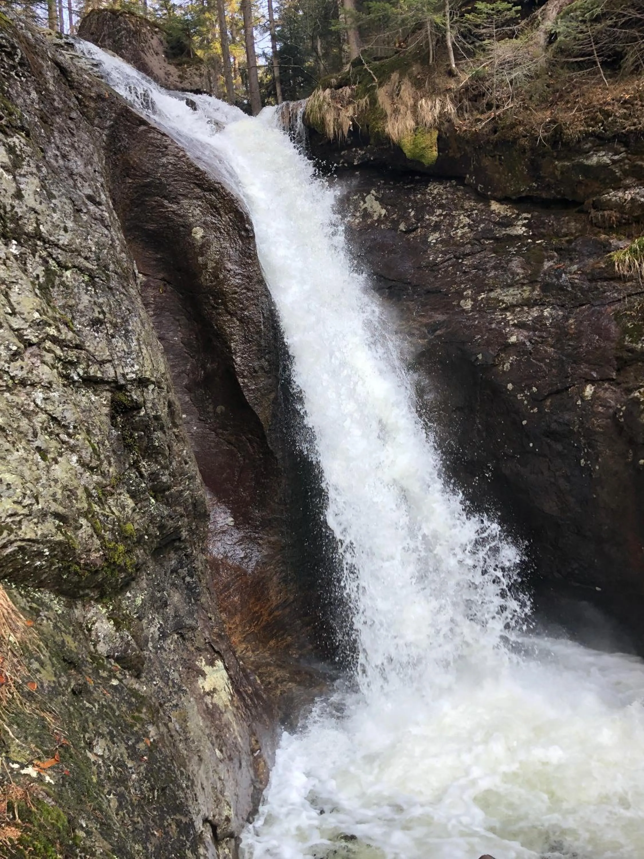 Hiking in Wellnesshotel Riedlberg