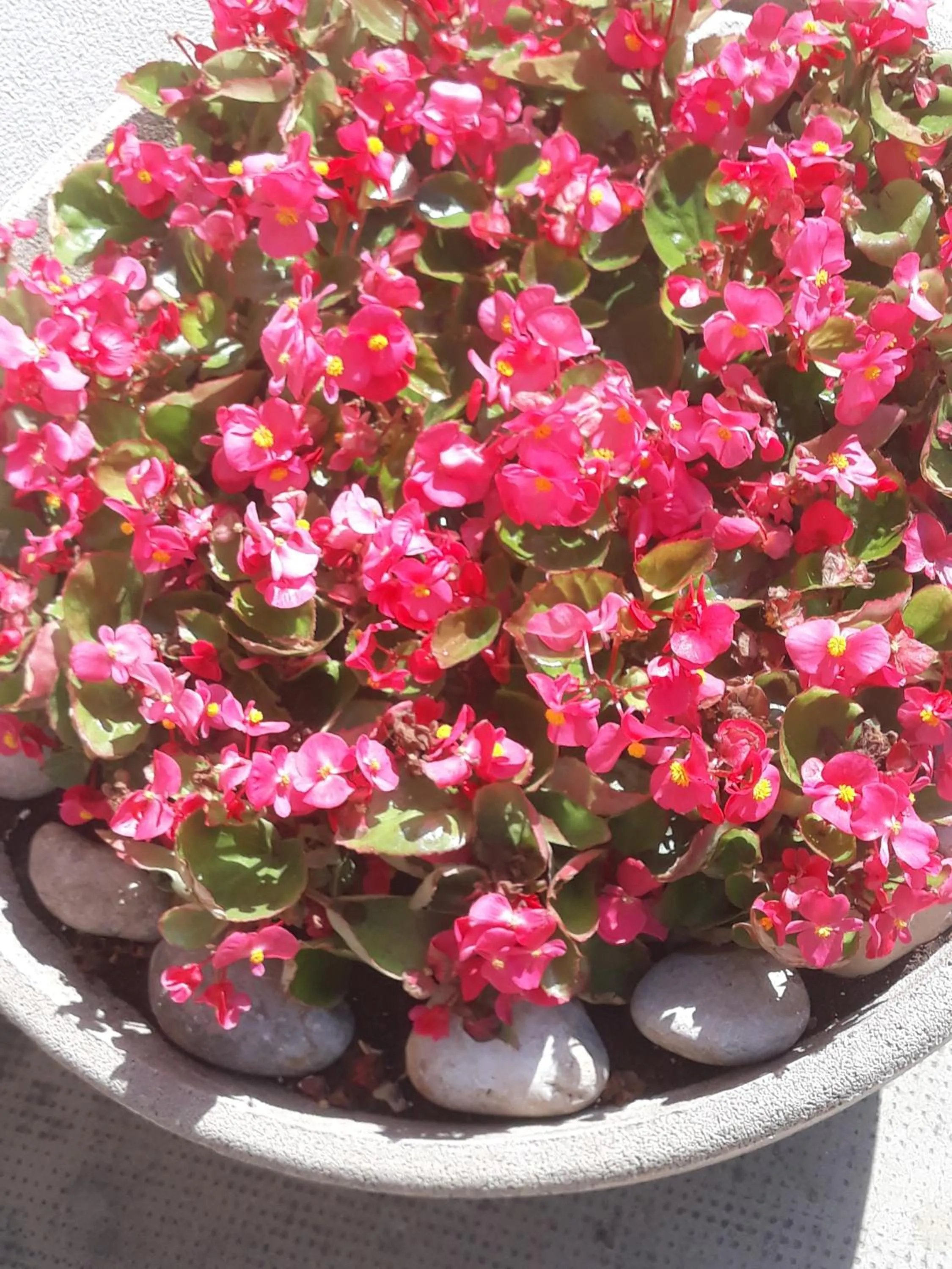 Facade/entrance in Ca' Concordia Venice