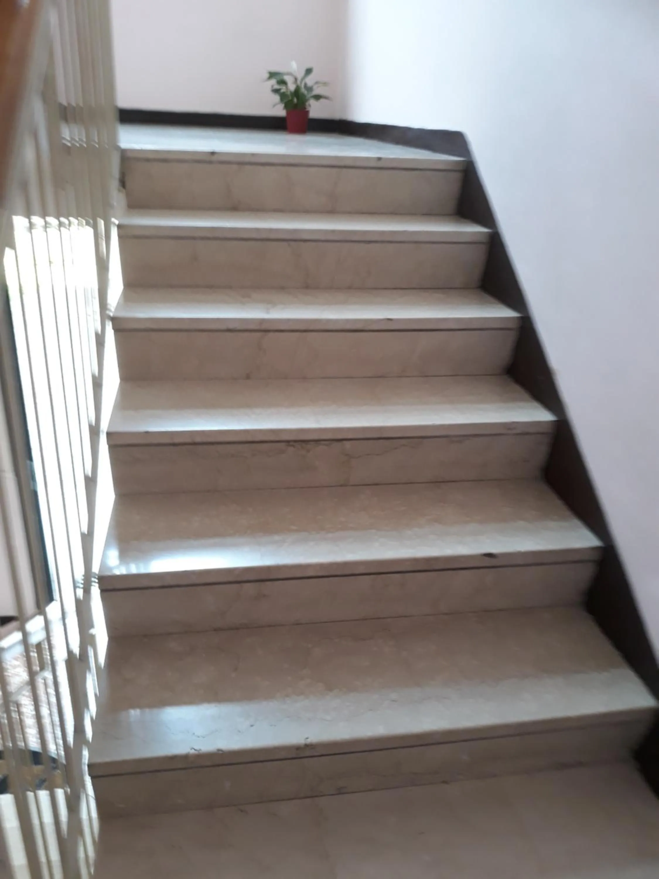 Other in Ca' Concordia Venice