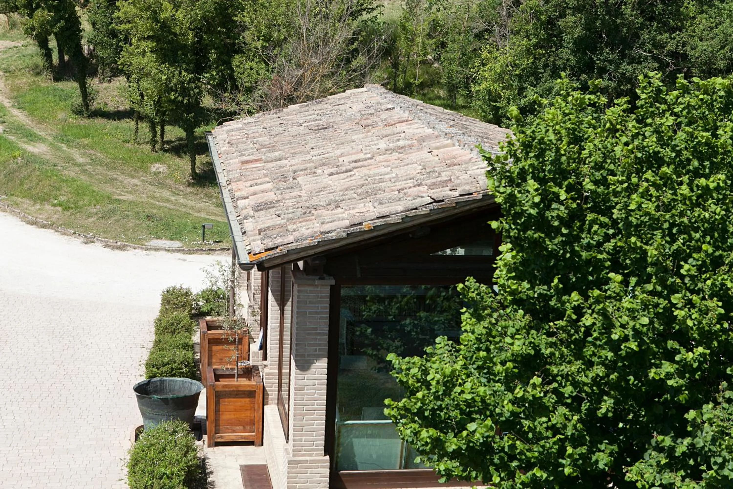 View (from property/room) in Re Artù Assisi Country Lifestyle