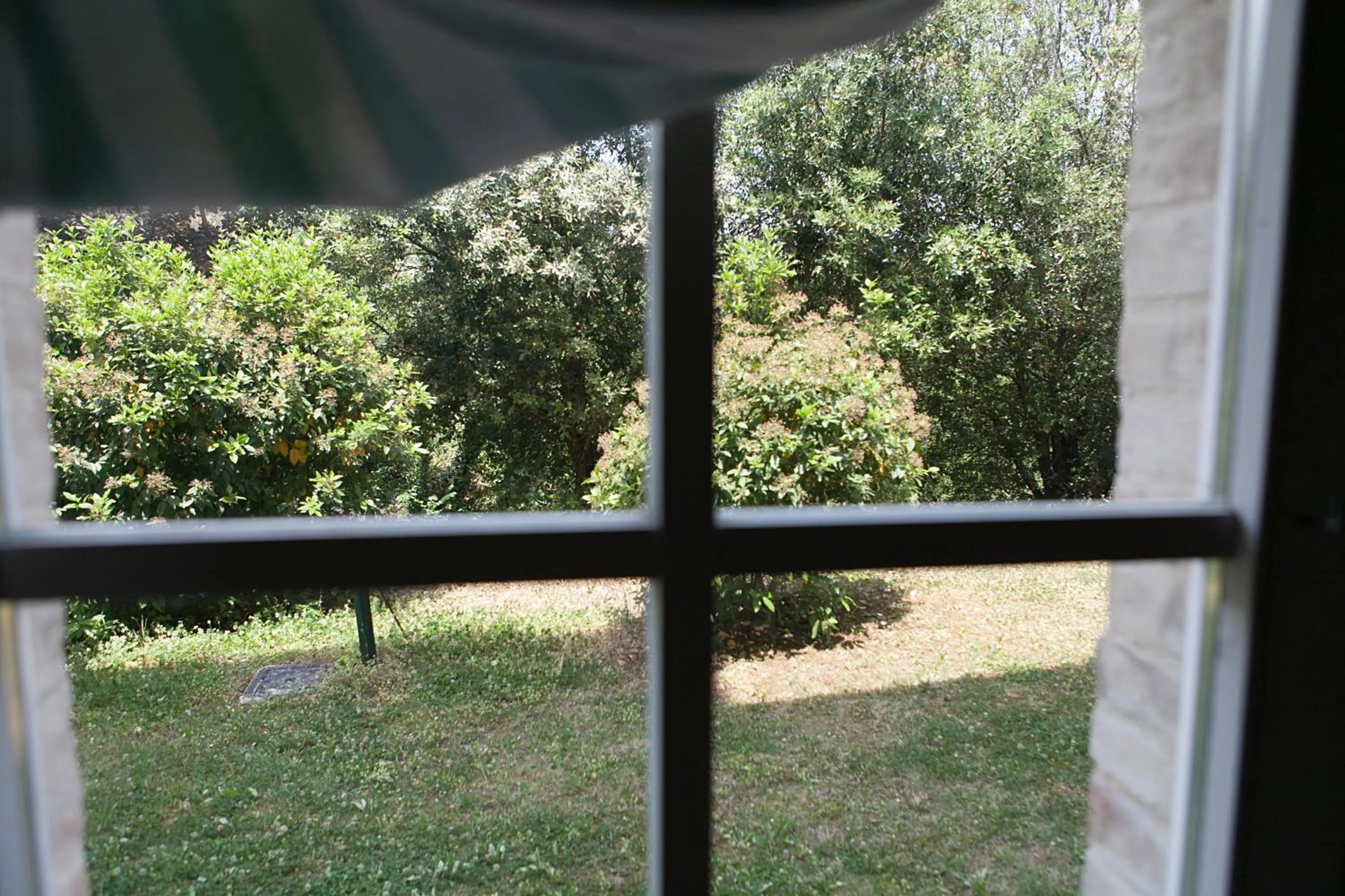 View (from property/room) in Re Artù Assisi Country Lifestyle