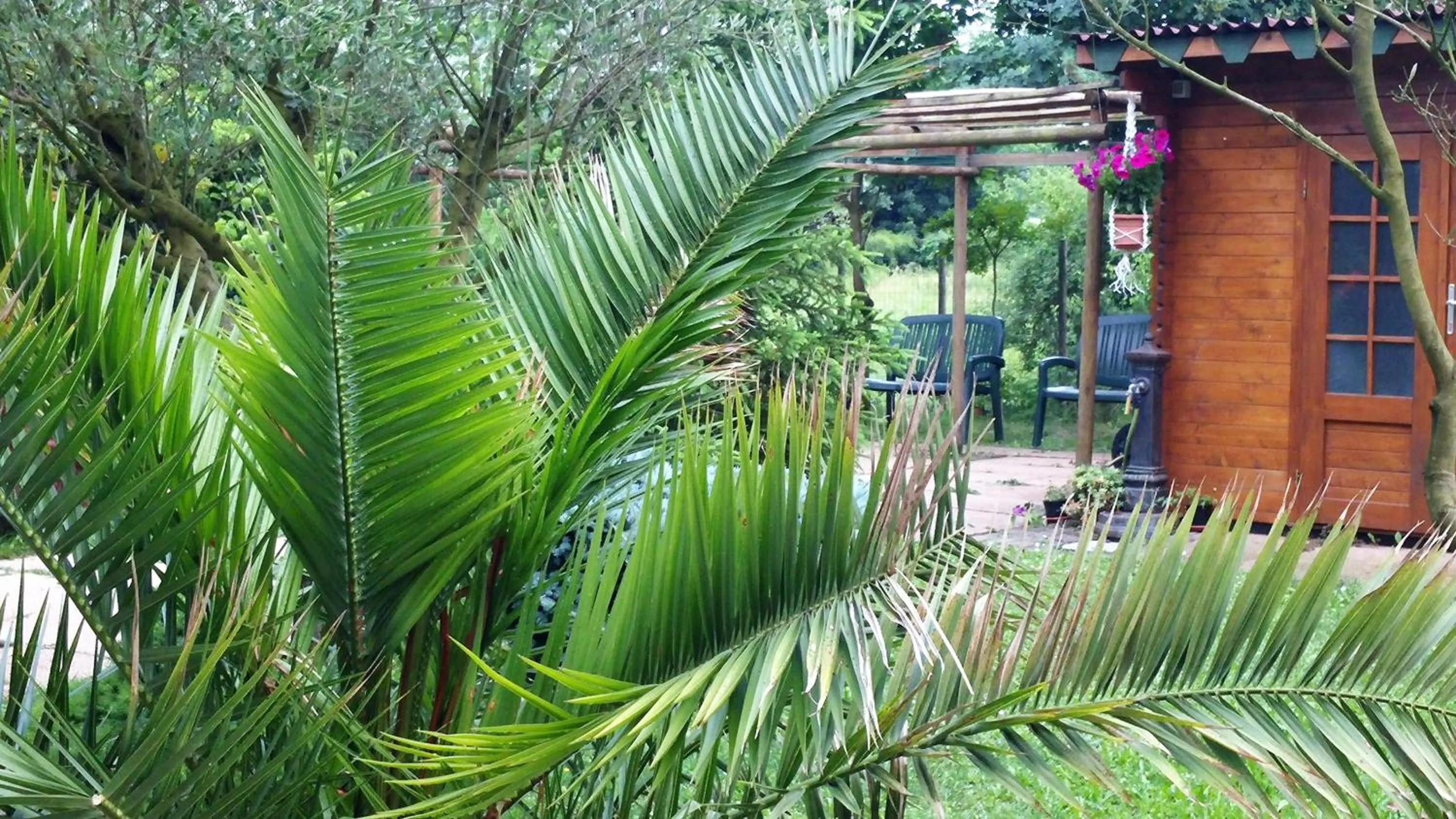 Garden in Venice Airport Room