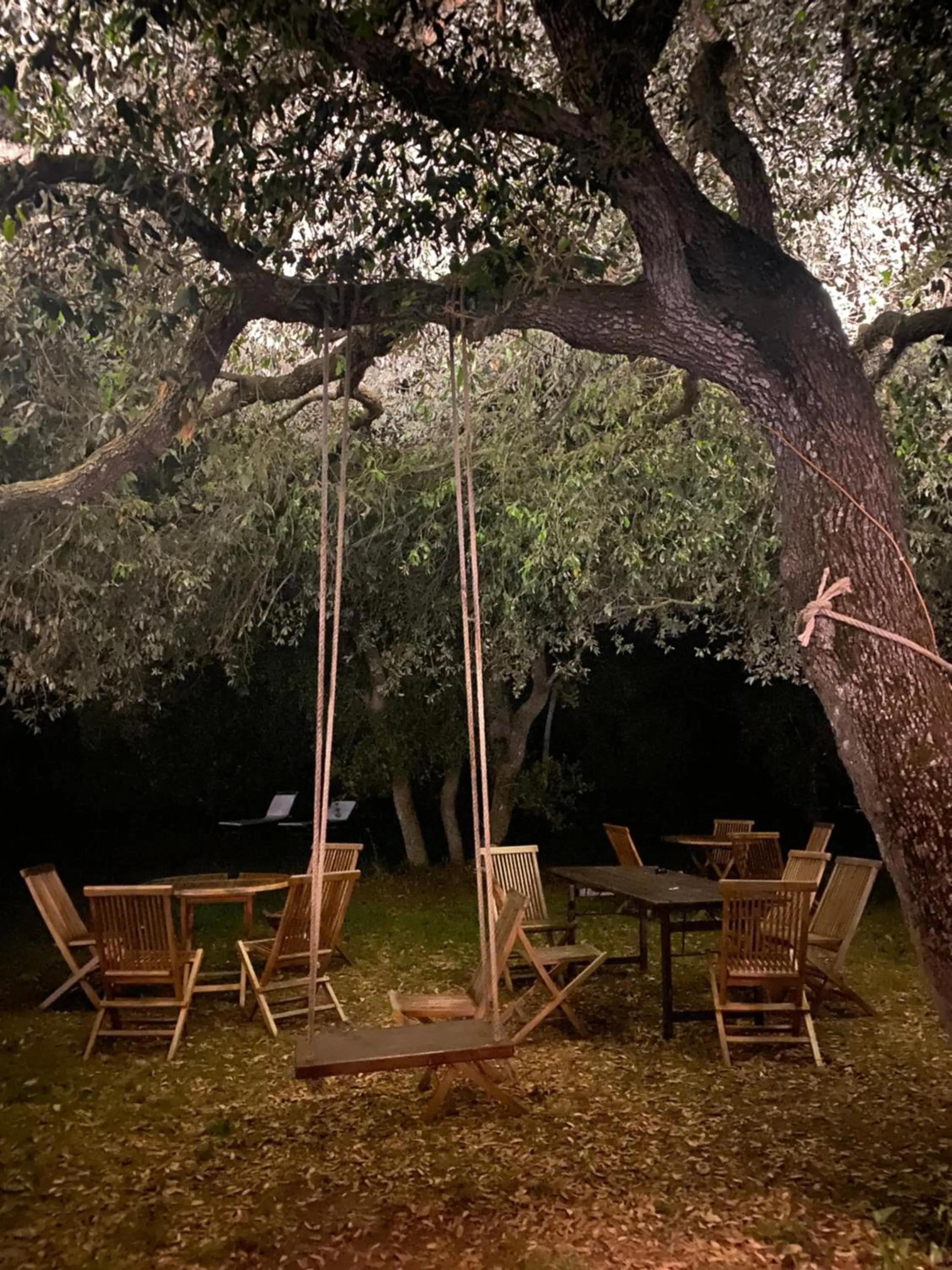 Natural landscape in Residence Altair - Serra degli Alimini