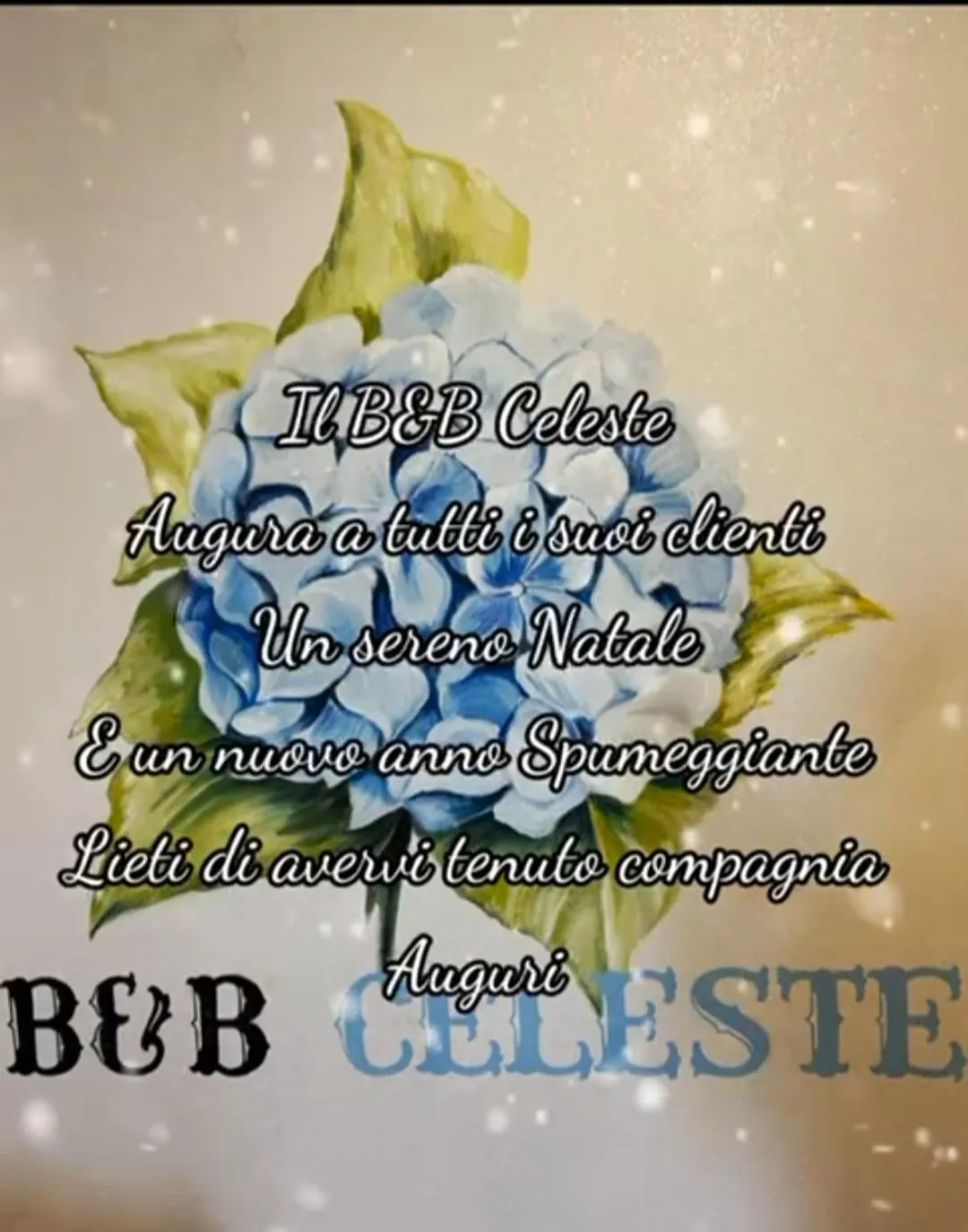 Text overlay in B&B CELESTE