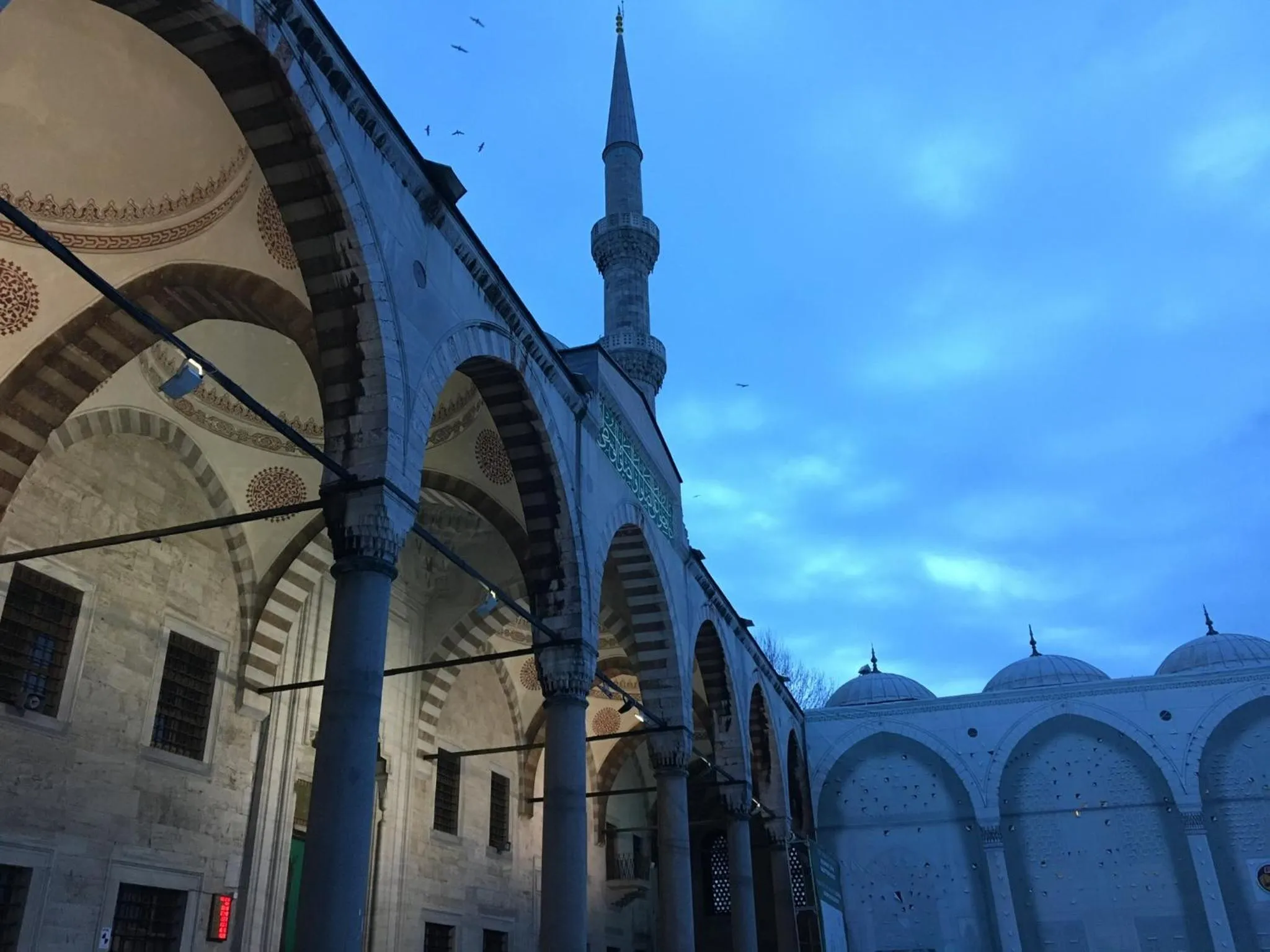 Area and facilities in Omega Inn