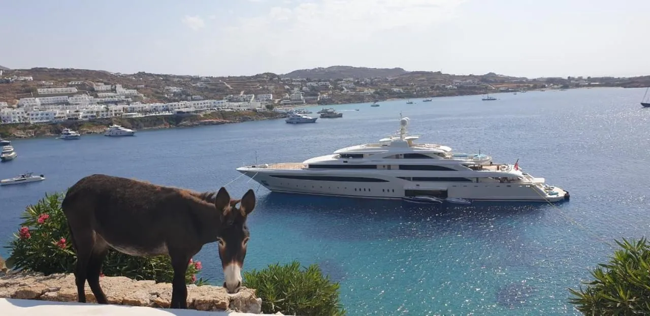 Sea view in Mykonos Azure