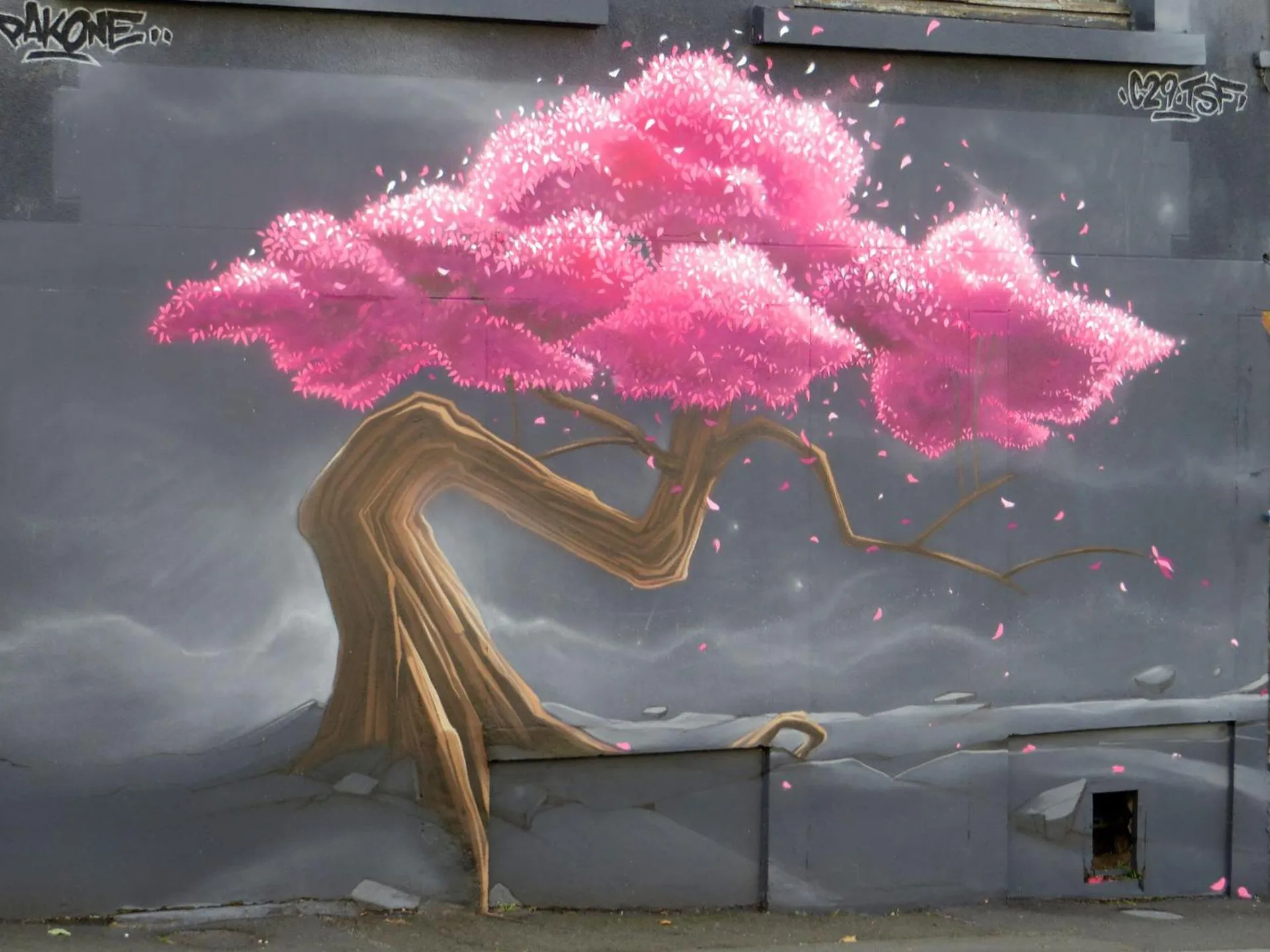 Activities in Contact Hôtel du Champ de Mars de Saint-Brieuc