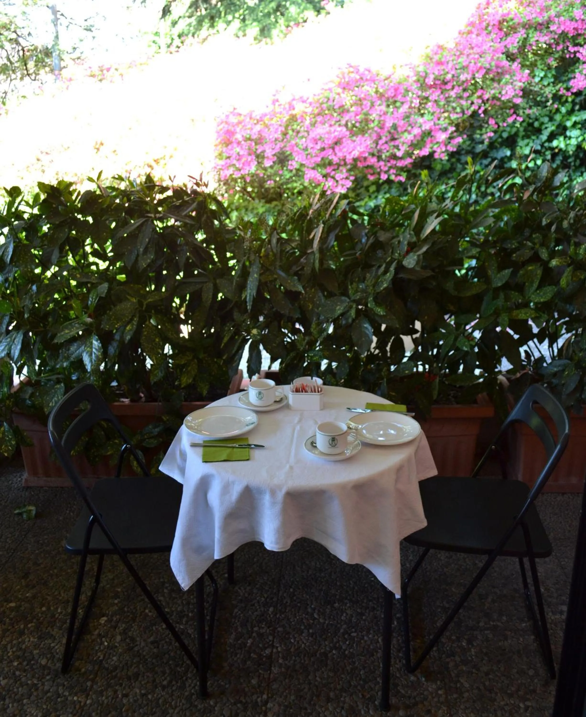 Restaurant/places to eat in Hotel Canturio