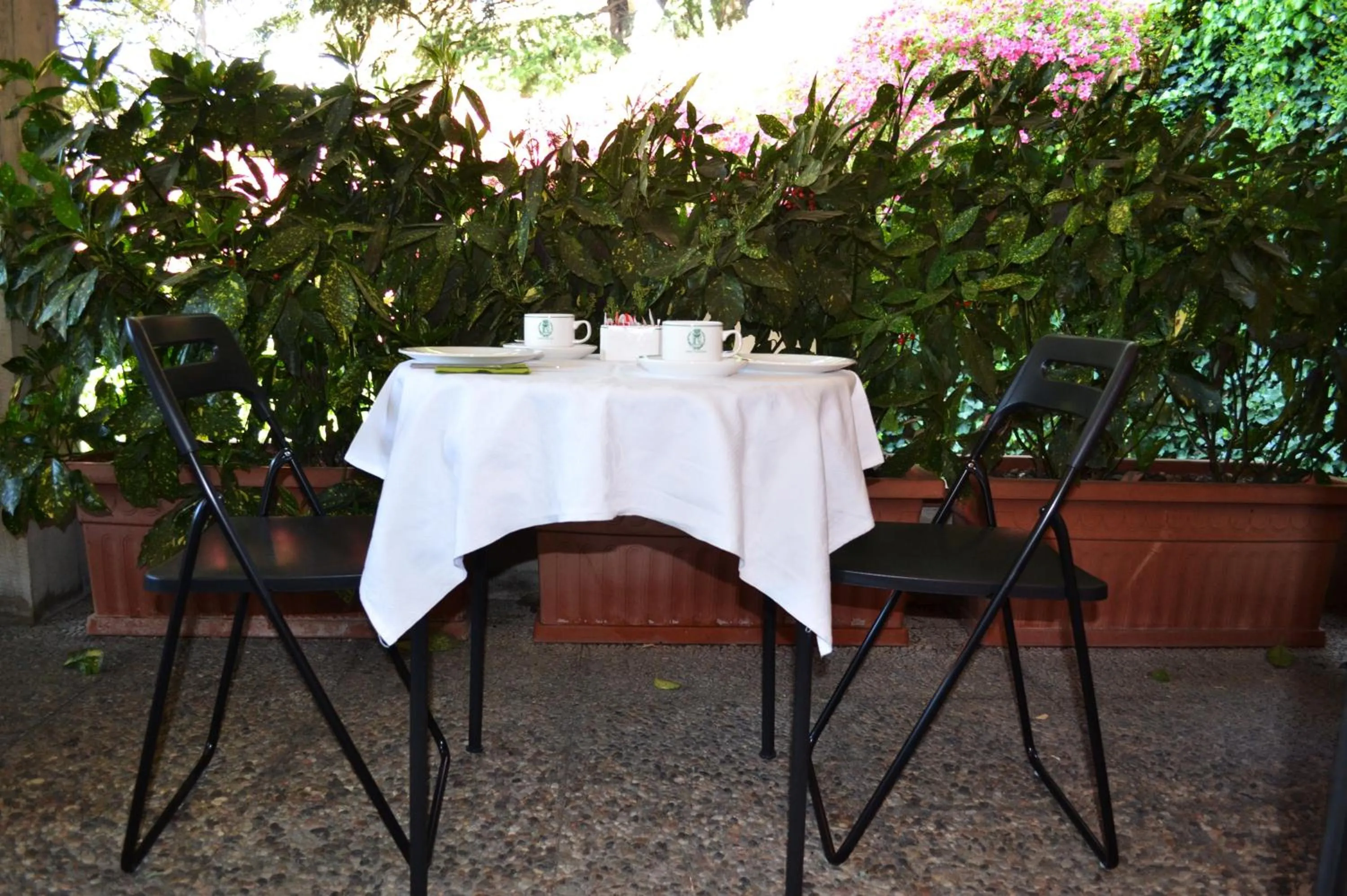 Restaurant/places to eat in Hotel Canturio