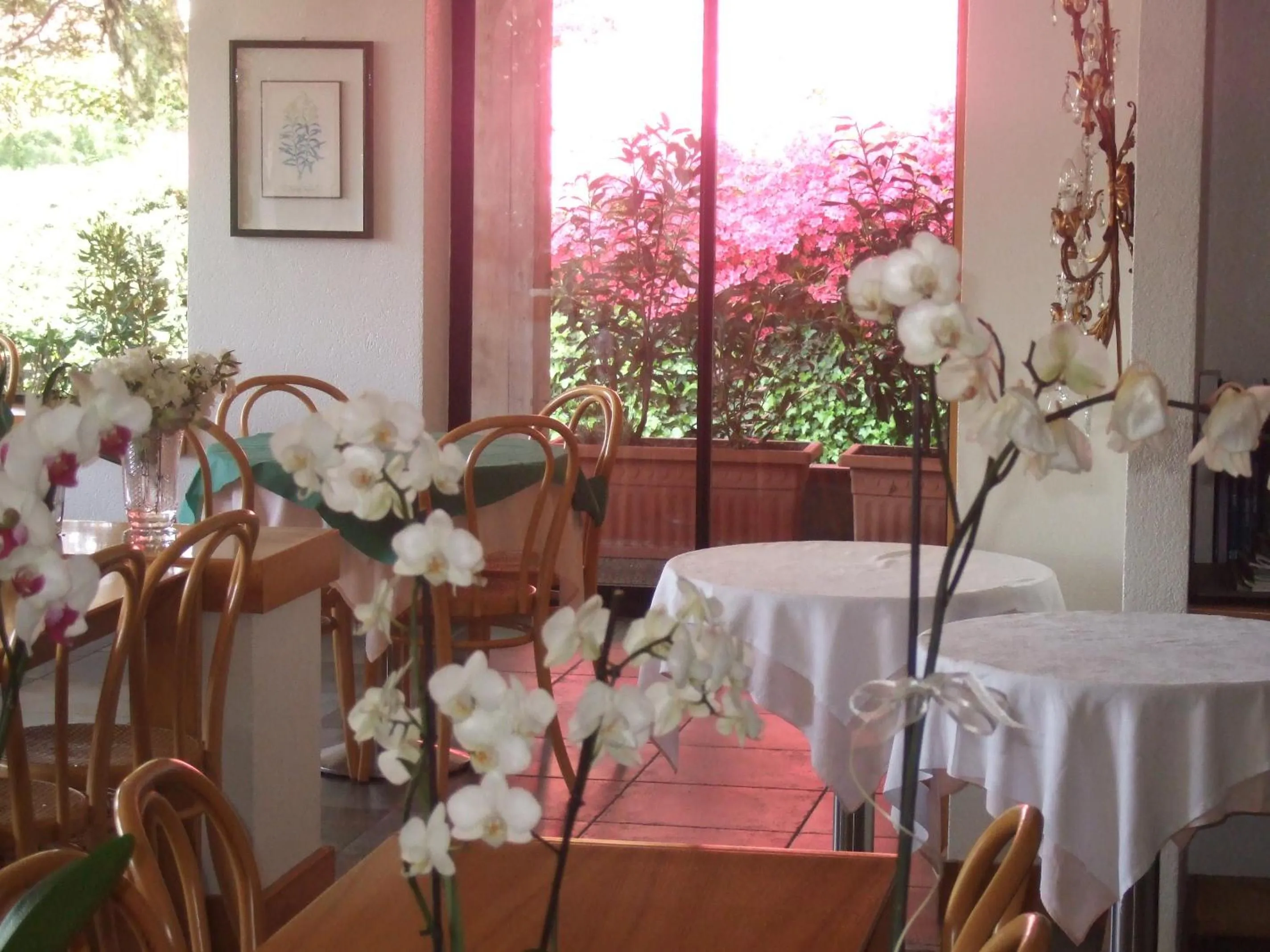 Day in Hotel Canturio