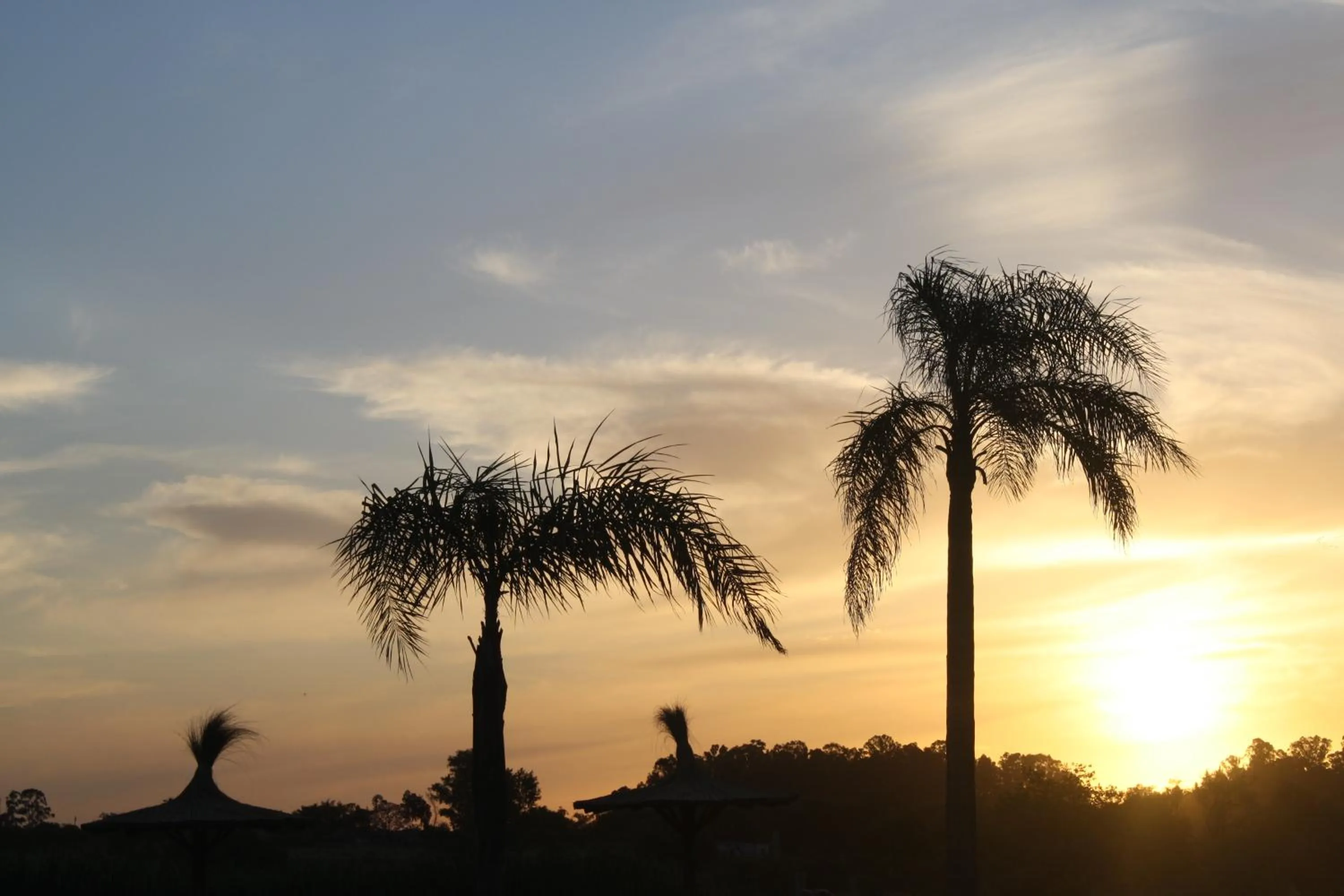 View (from property/room) in Bungalows Mexico