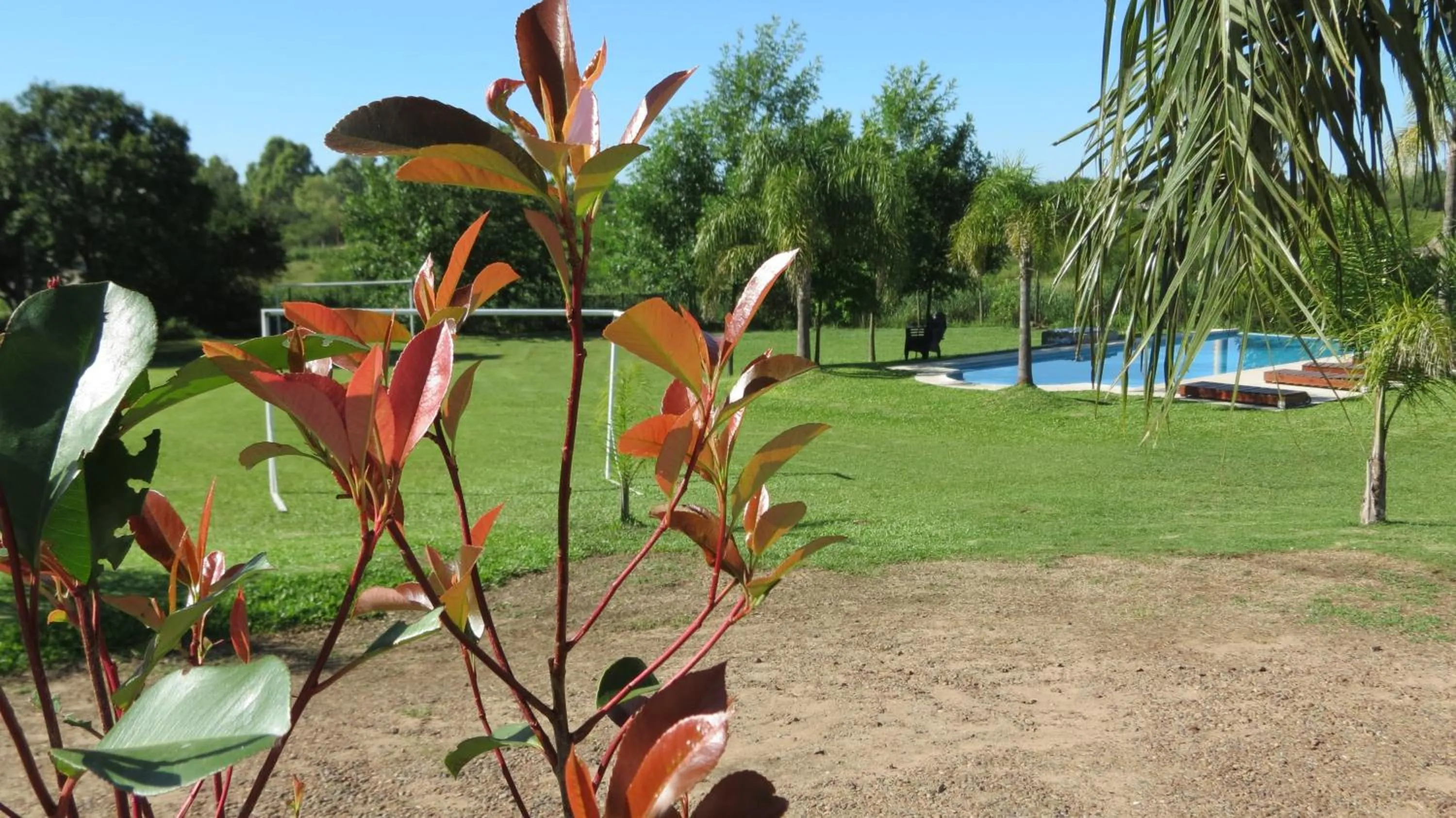 Garden in Bungalows Mexico