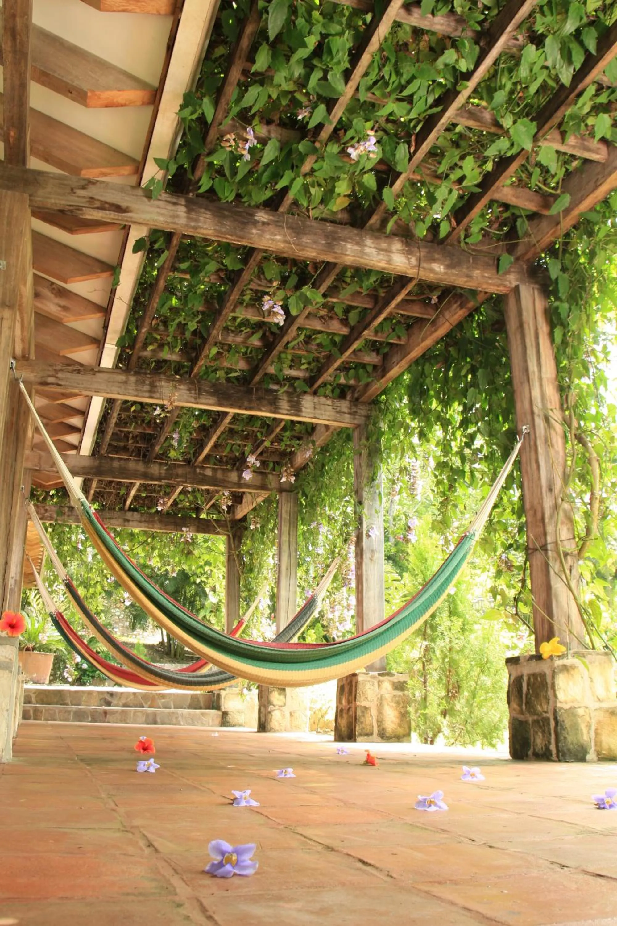 Balcony/Terrace in La Villa de Soledad