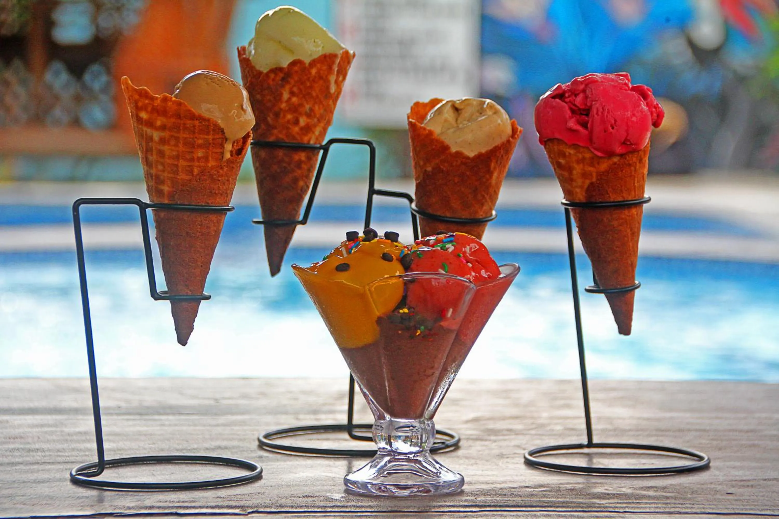 Food and drinks in Hotel Oasis Port Barton