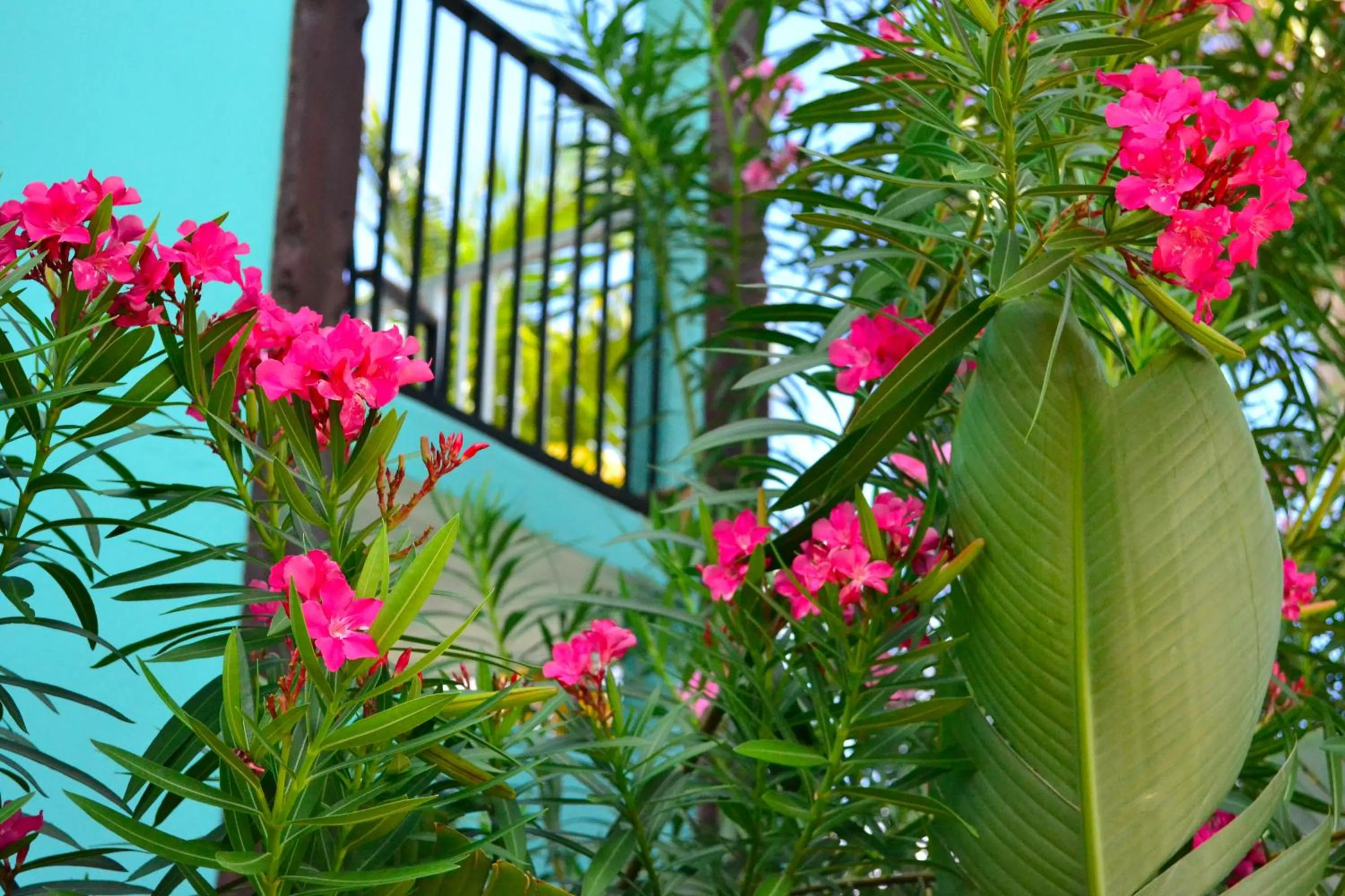 Property building in Emerald Beach Resort