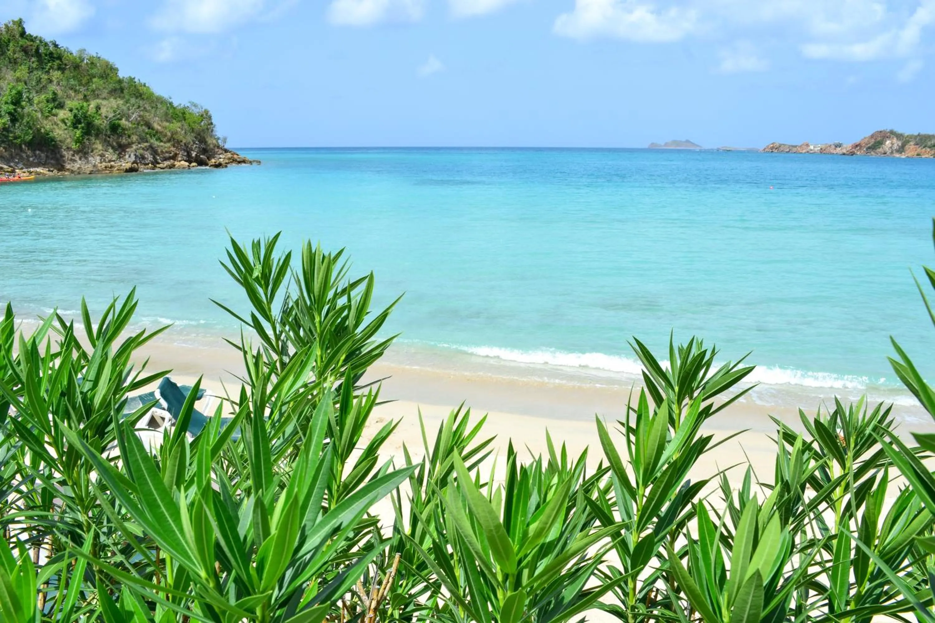 Natural landscape in Emerald Beach Resort