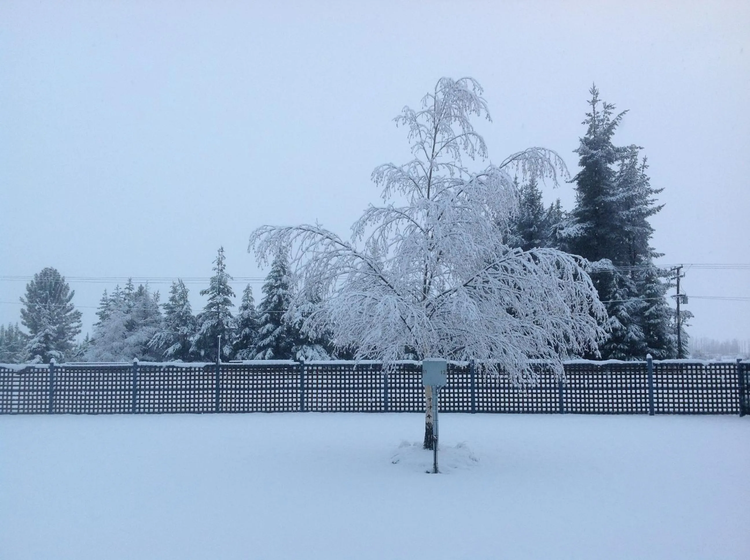 Winter in Ahuriri Motels